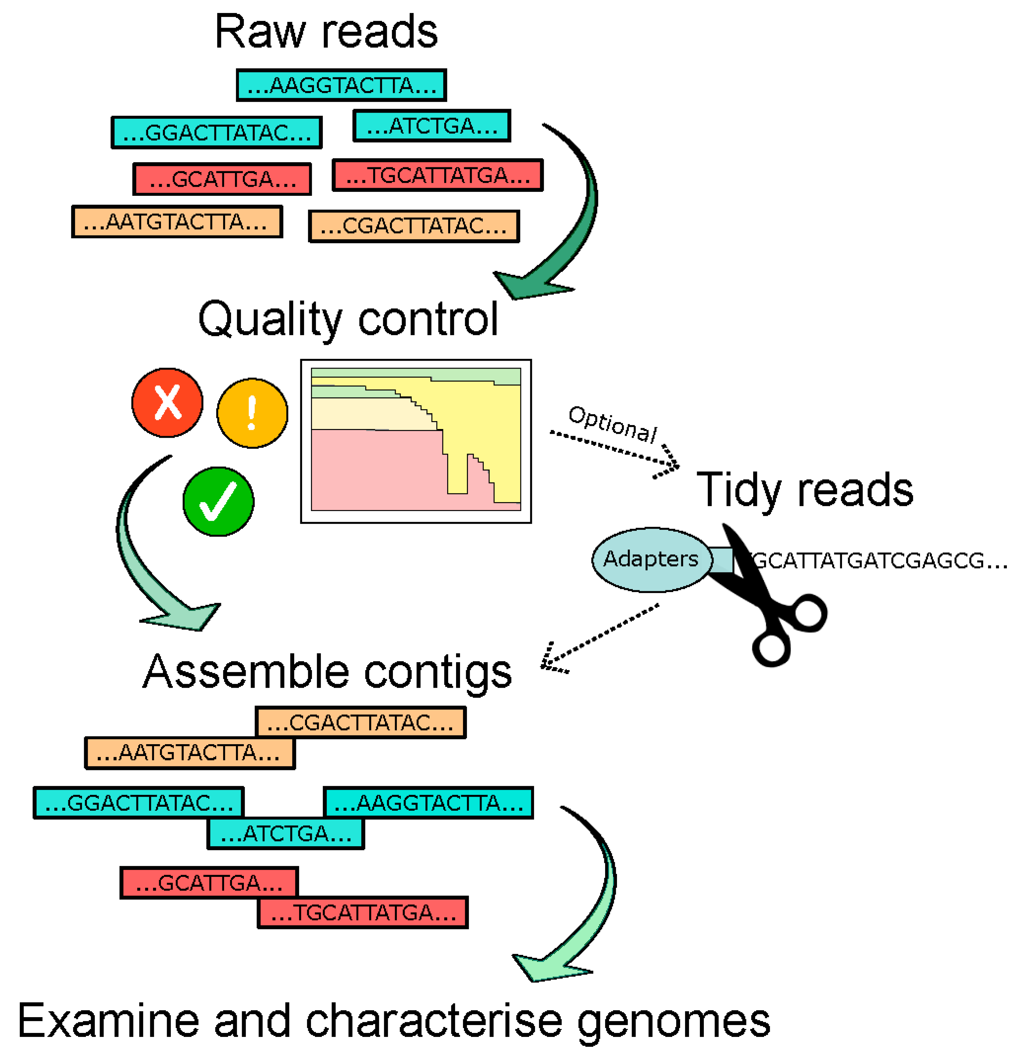 Microorganisms 09 00524 g003