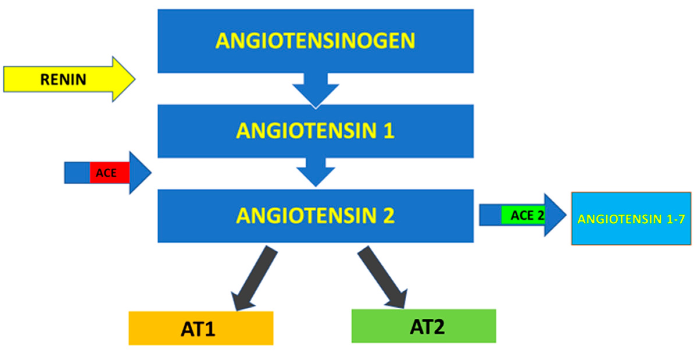 Microorganisms 09 00525 g001 Microorganisms 09 00525 g001