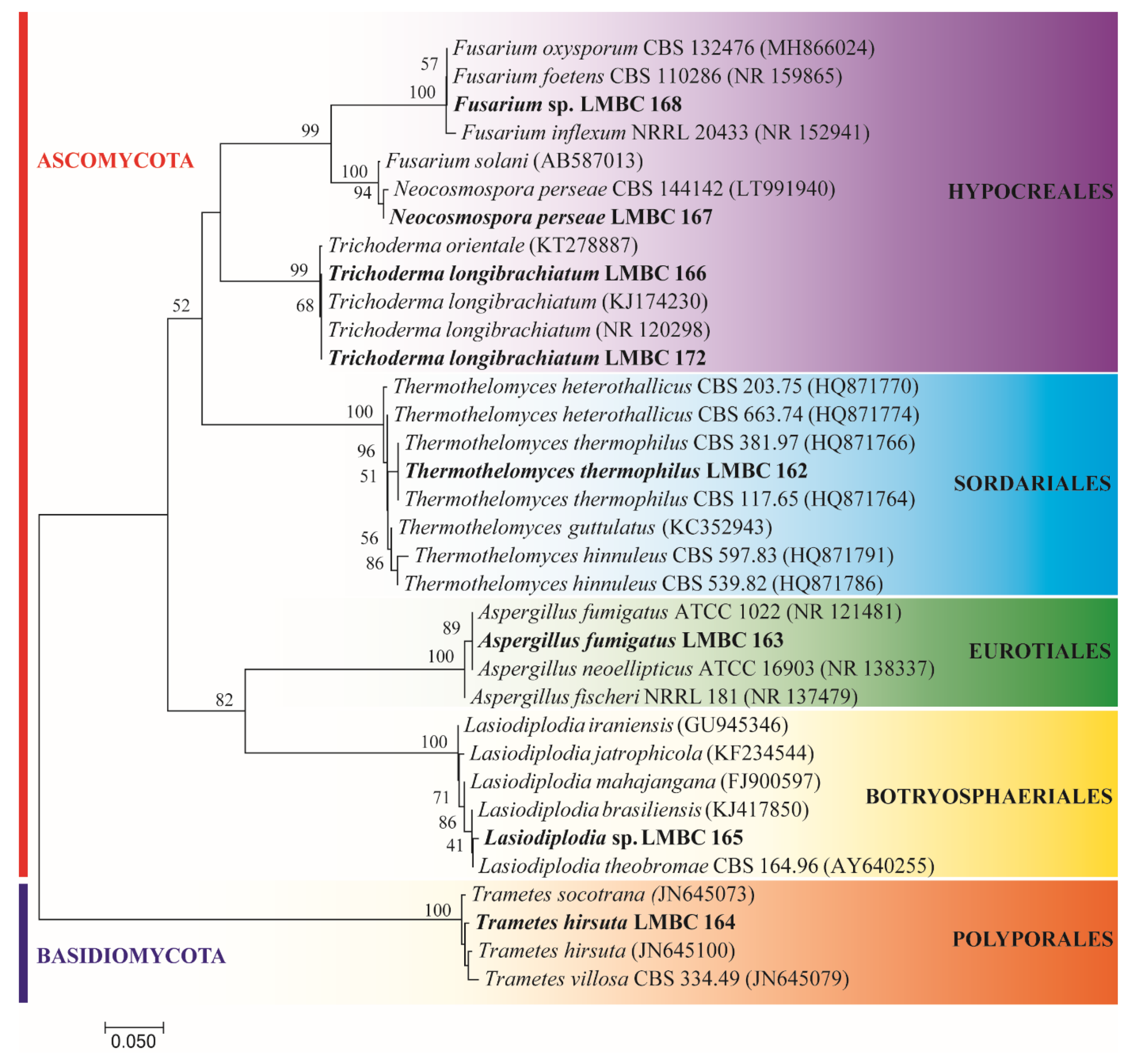 Microorganisms 09 00533 g001