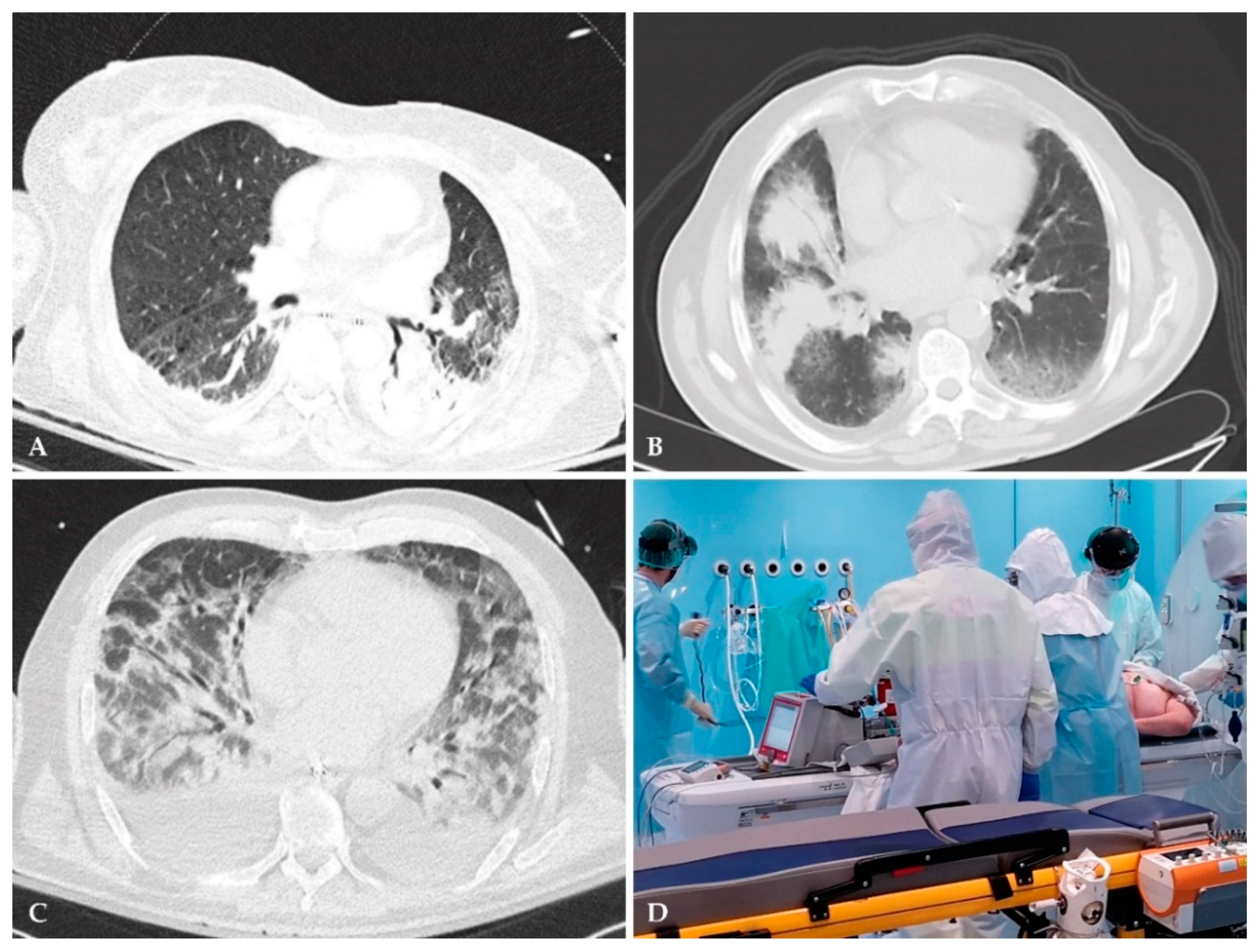 Microorganisms 09 00534 g003