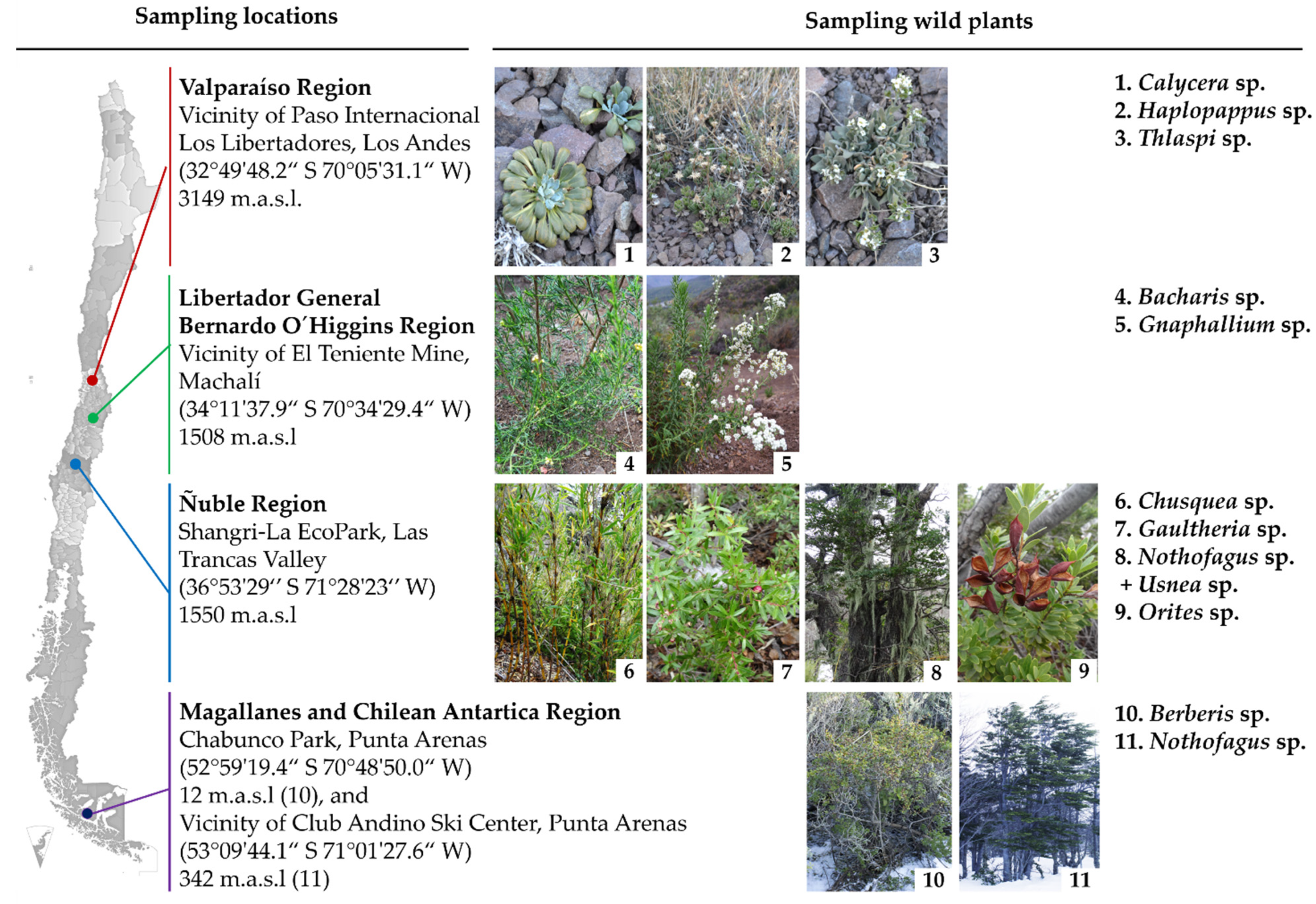 Microorganisms 09 00538 g001