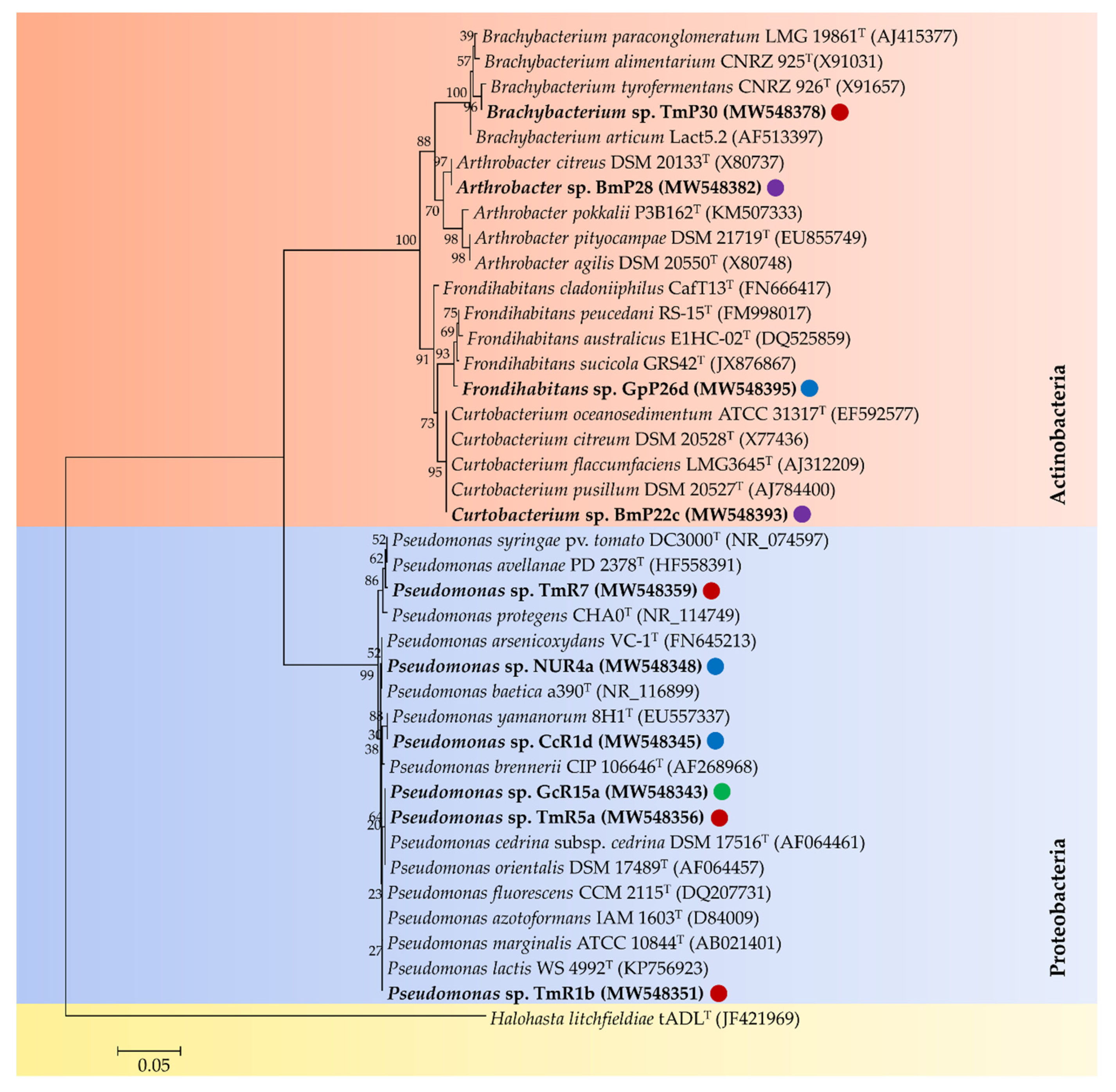 Microorganisms 09 00538 g004