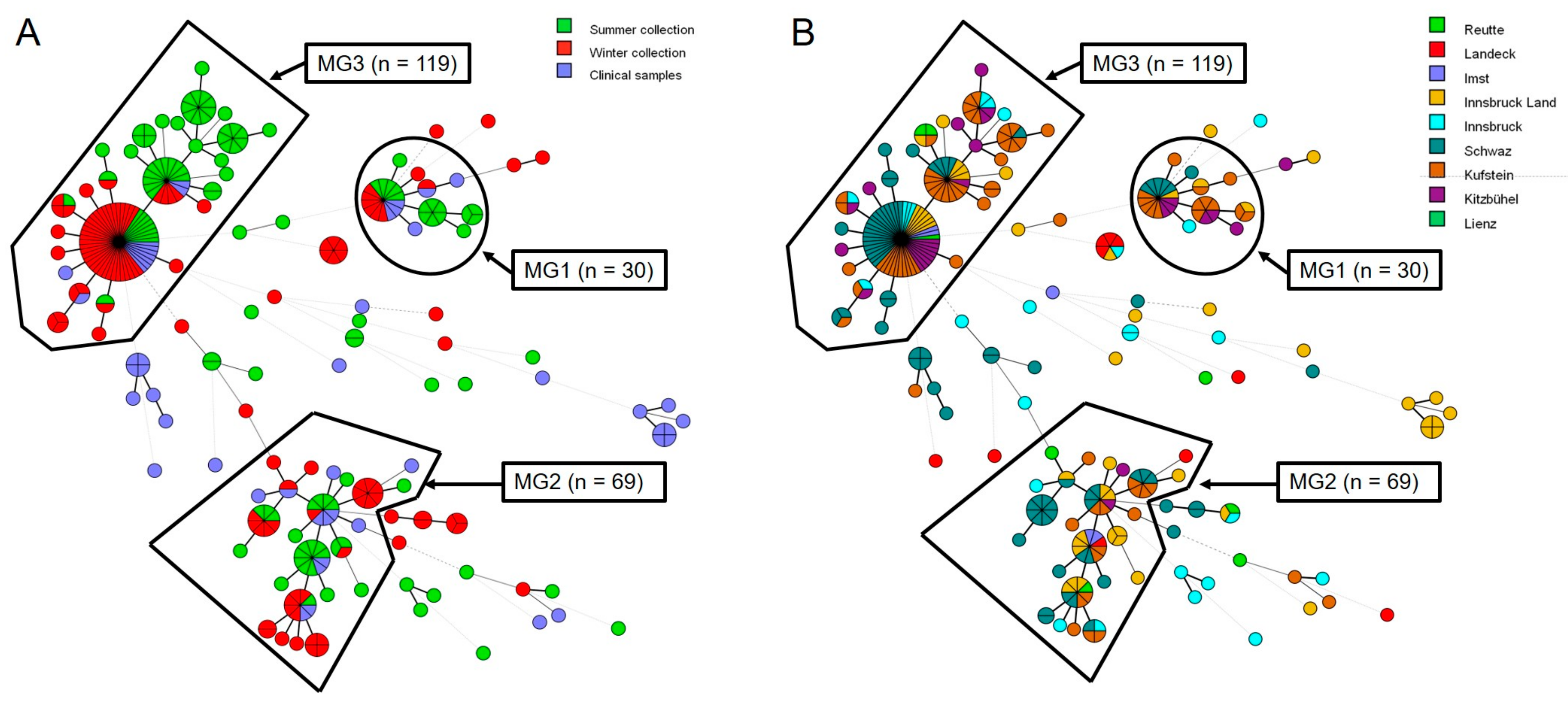 Microorganisms 09 00539 g002