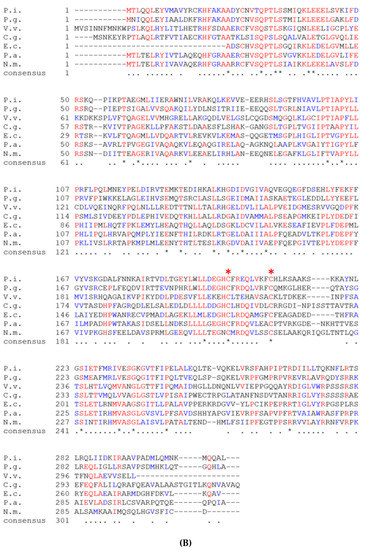 Microorganisms 09 00551 g001b Microorganisms 09 00551 g001b