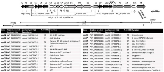 Microorganisms 09 00559 g002