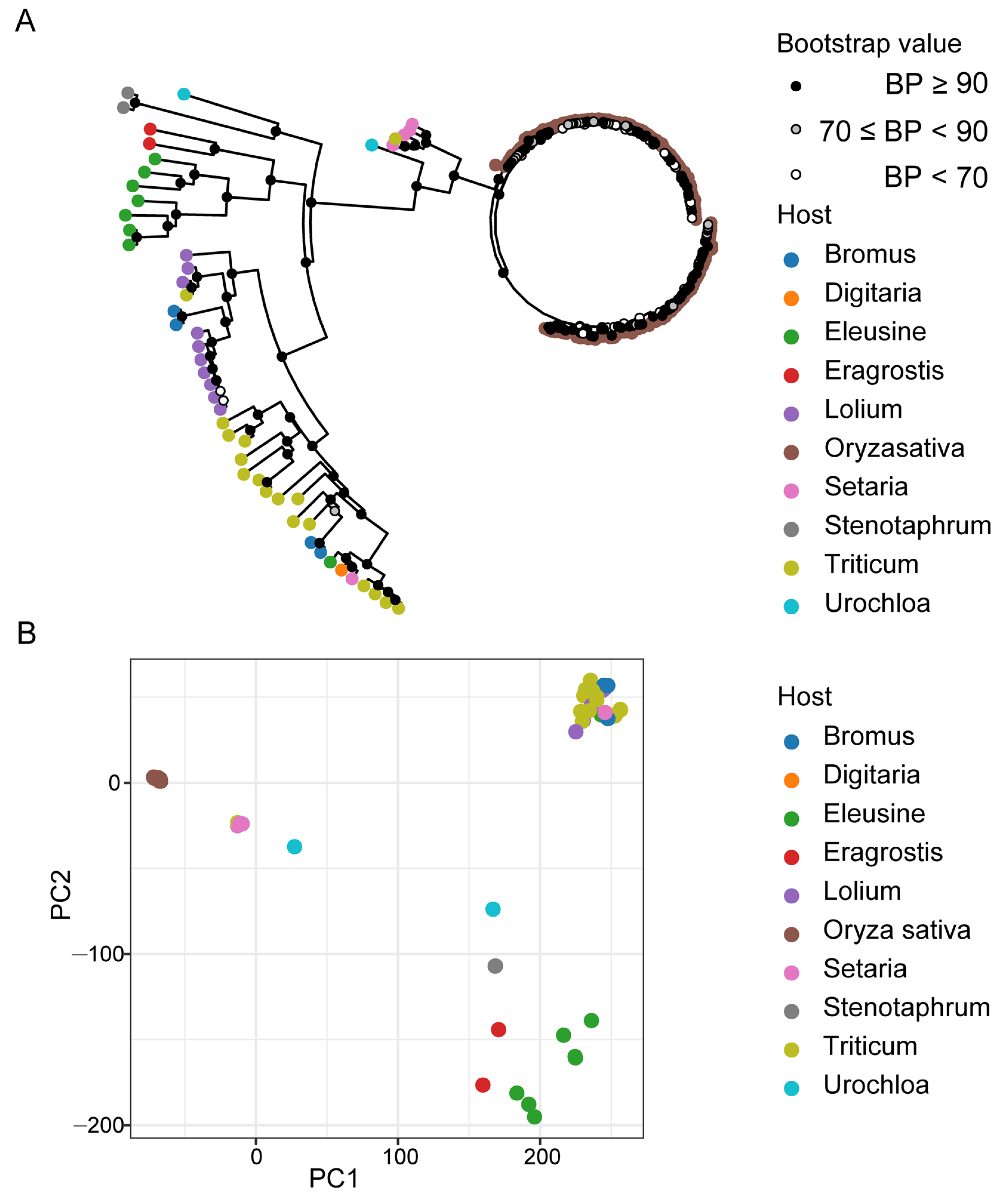 Microorganisms 09 00562 g001