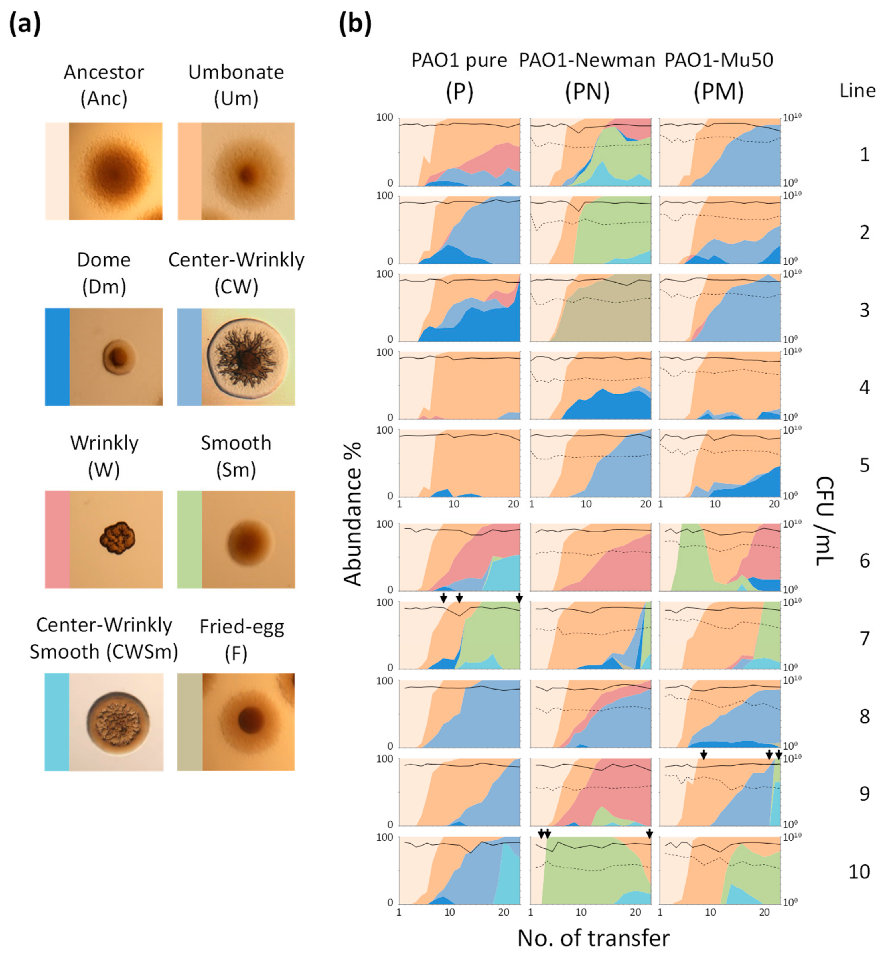Microorganisms 09 00569 g001 Microorganisms 09 00569 g001