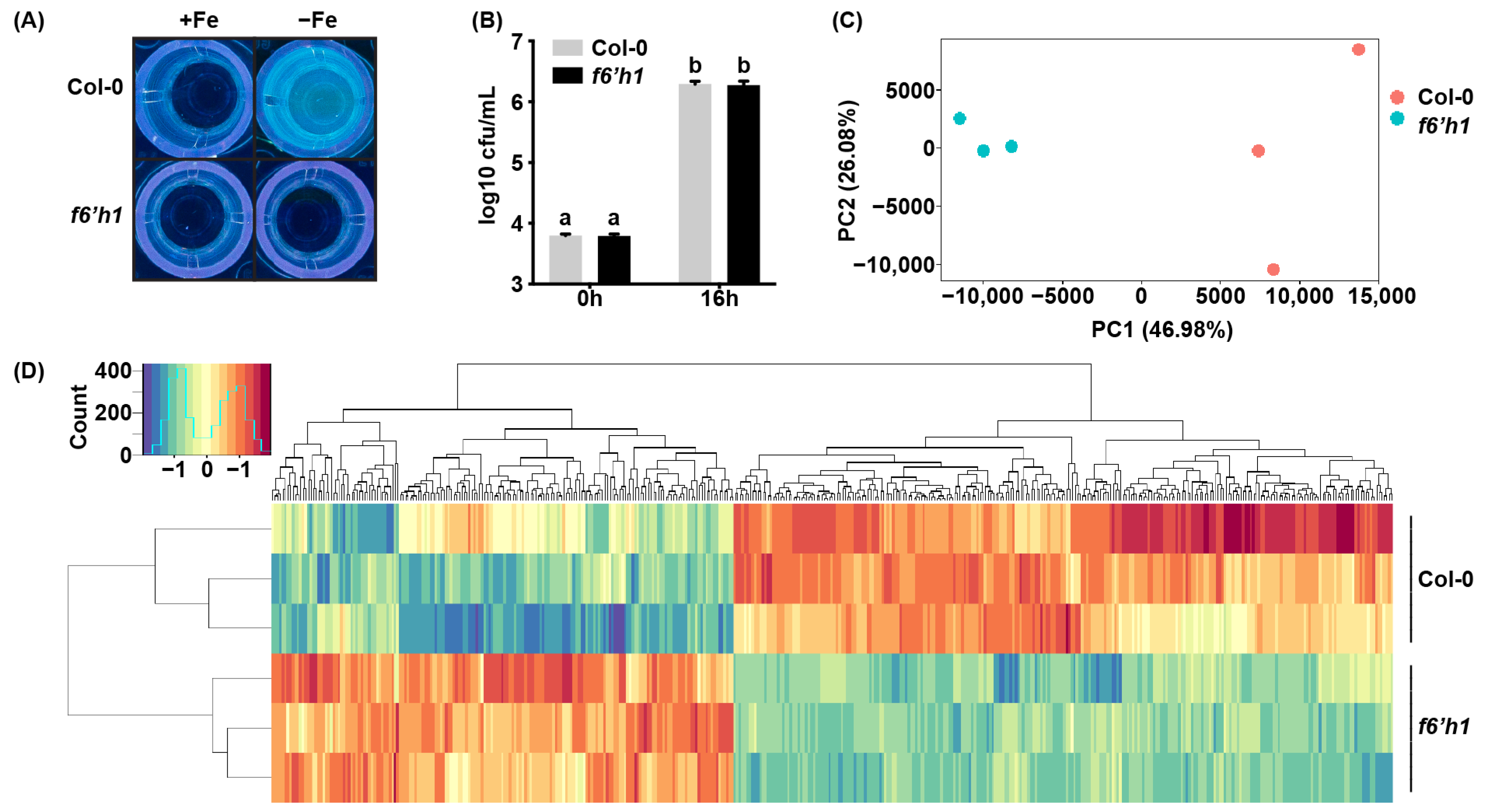 Microorganisms 09 00575 g001
