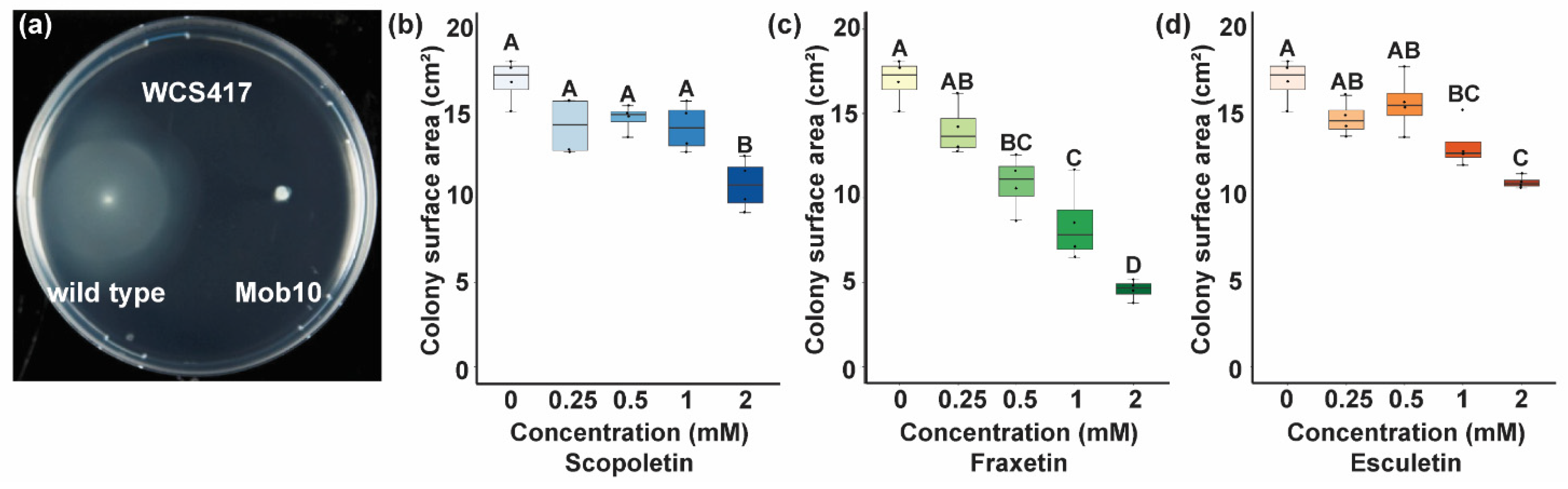 Microorganisms 09 00575 g004