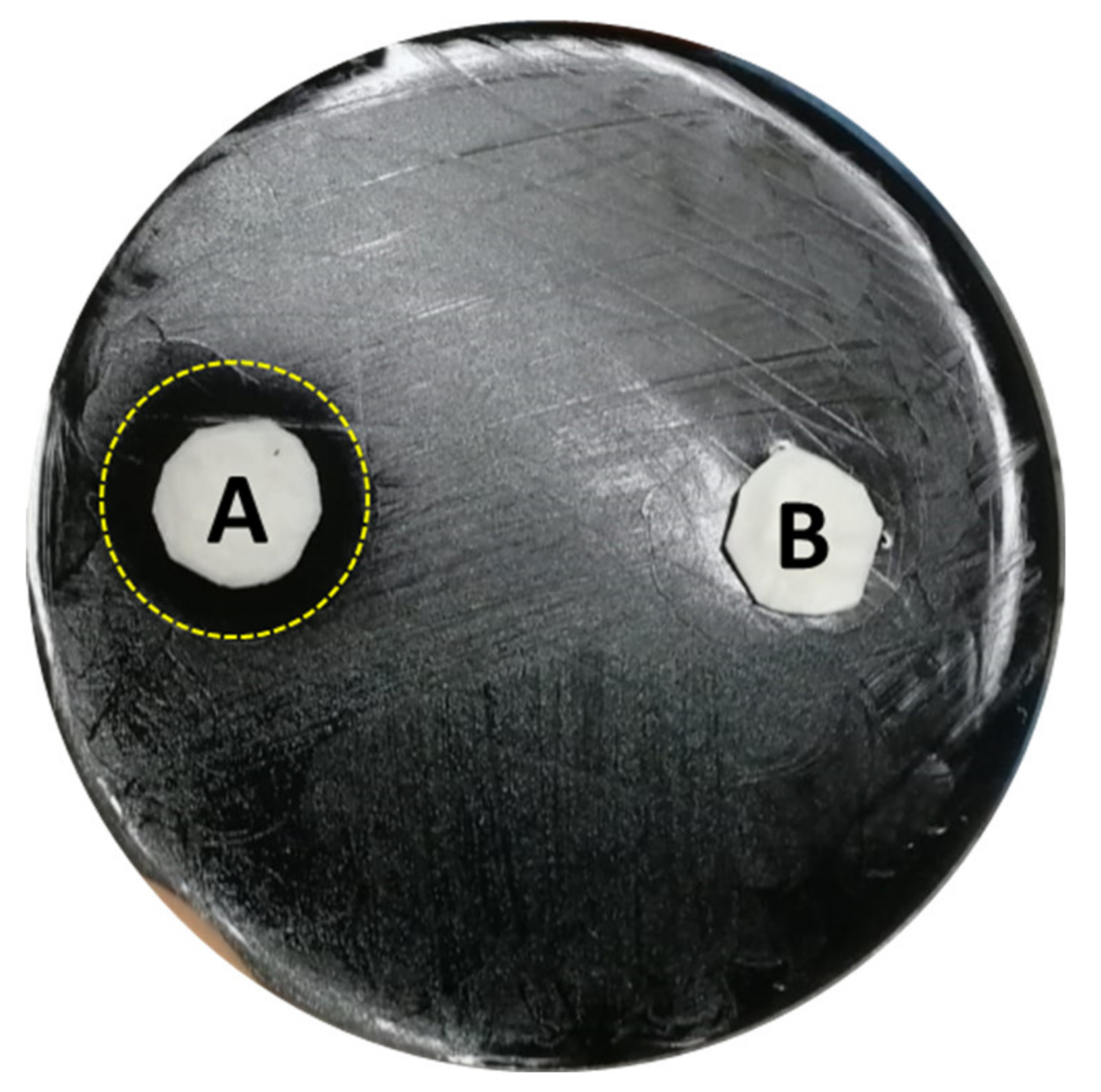 Microorganisms 09 00577 g002 Microorganisms 09 00577 g002