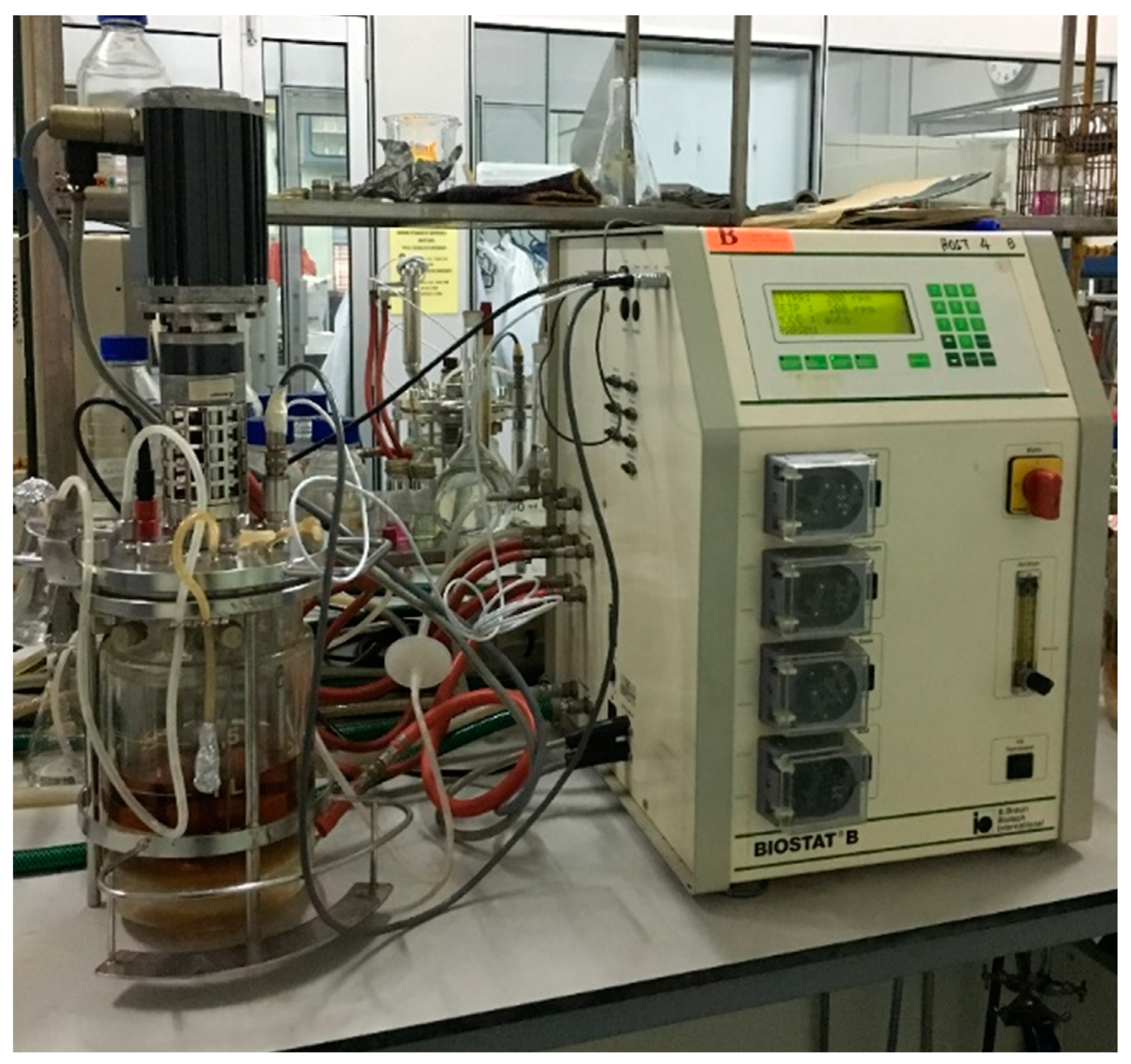 Microorganisms 09 00579 g001