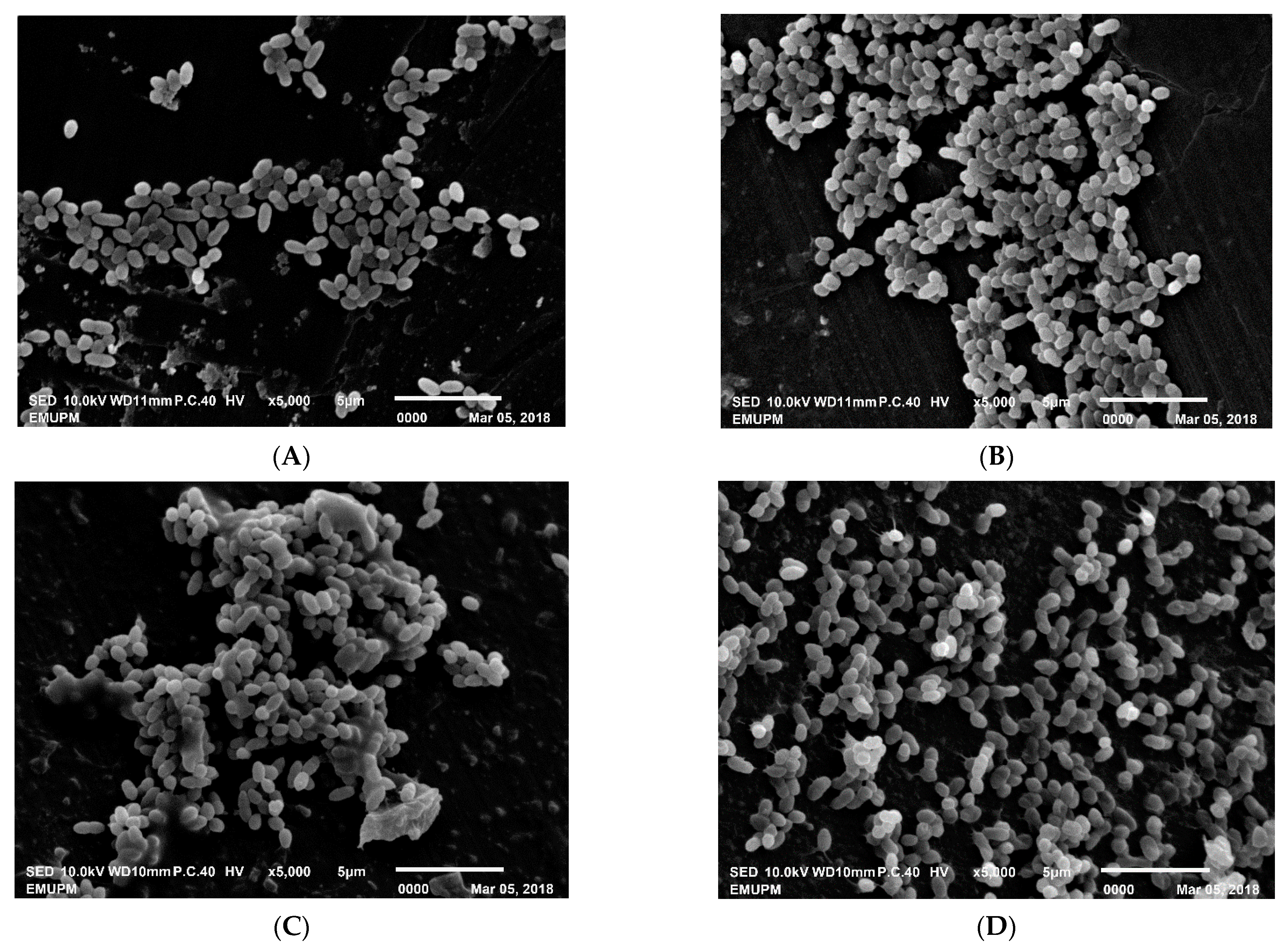Microorganisms 09 00579 g008a