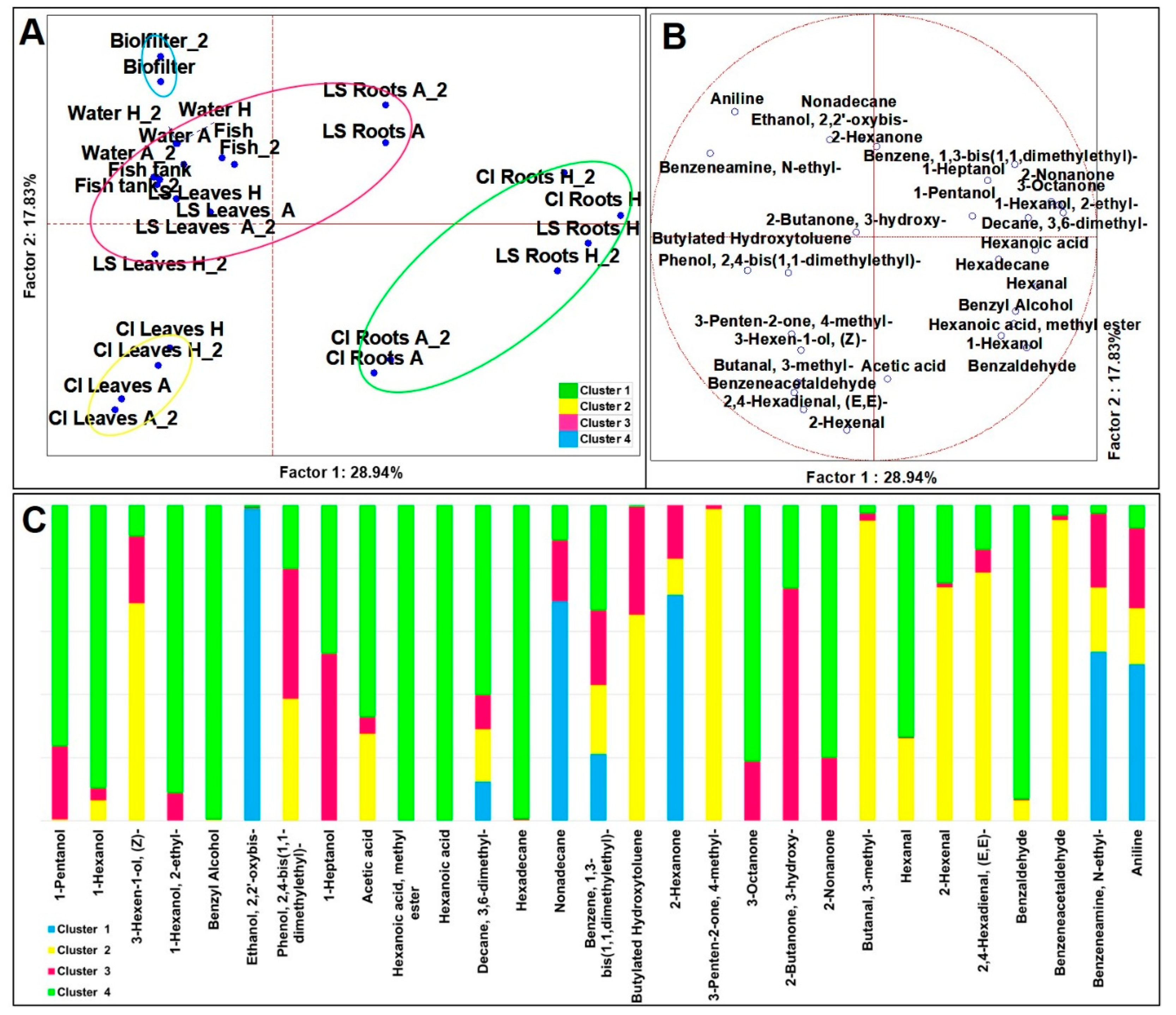 Microorganisms 09 00580 g001
