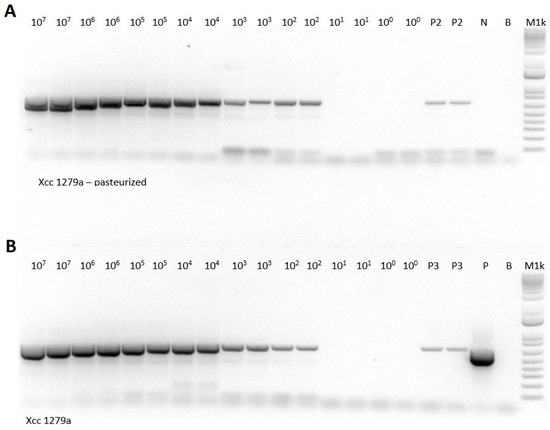 Microorganisms 09 00591 g0a1