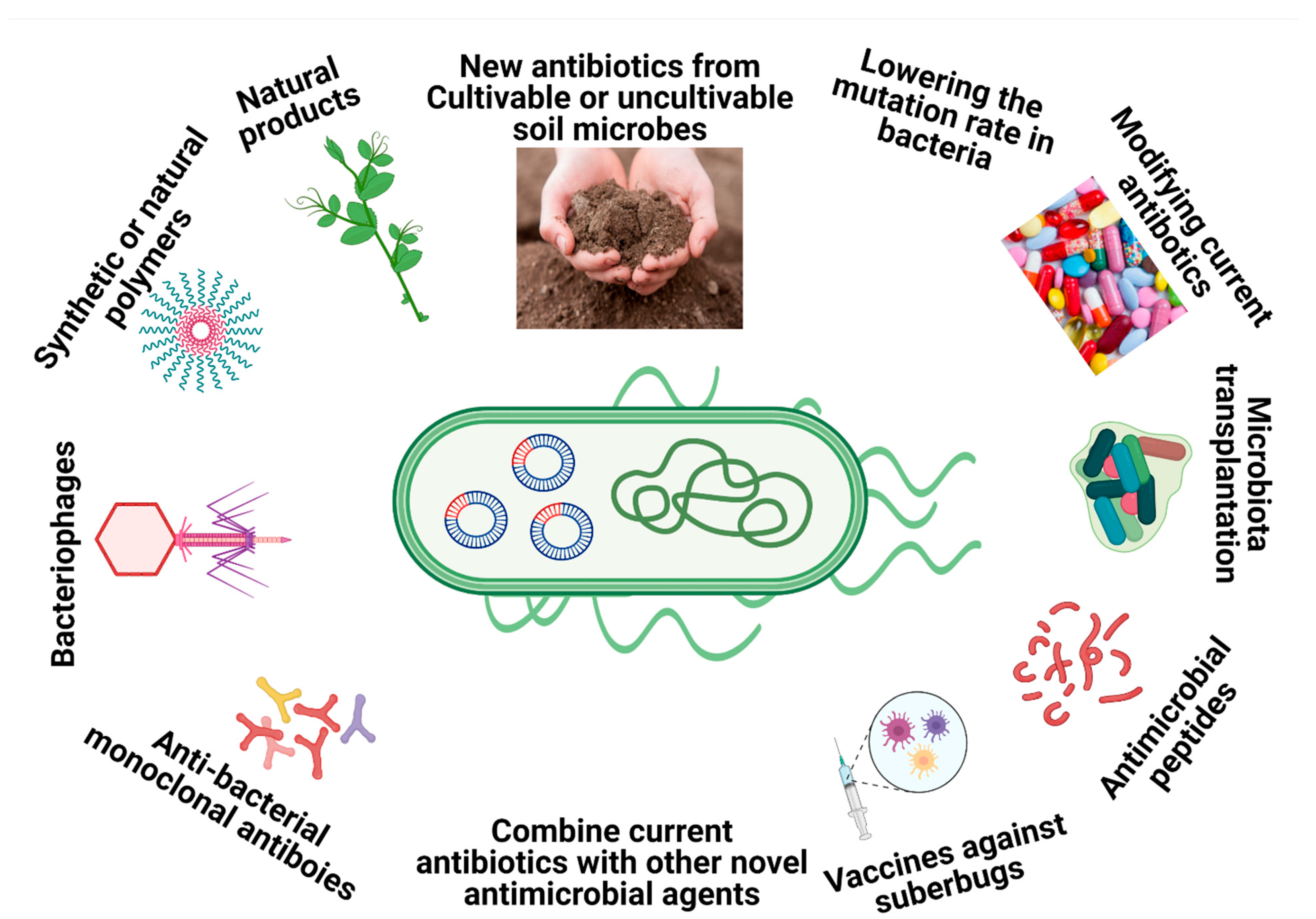 Microorganisms 09 00596 g001