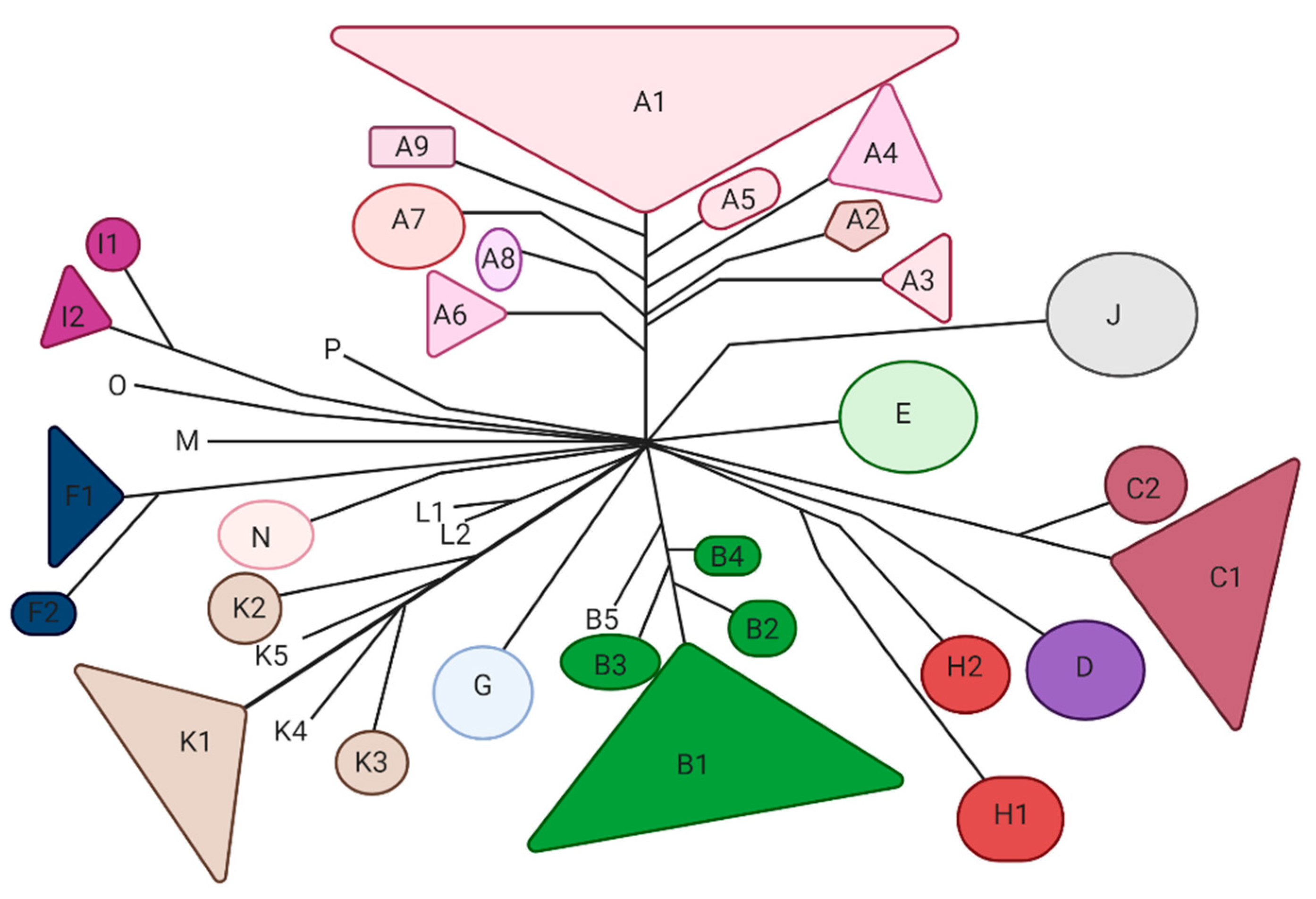 Microorganisms 09 00596 g002