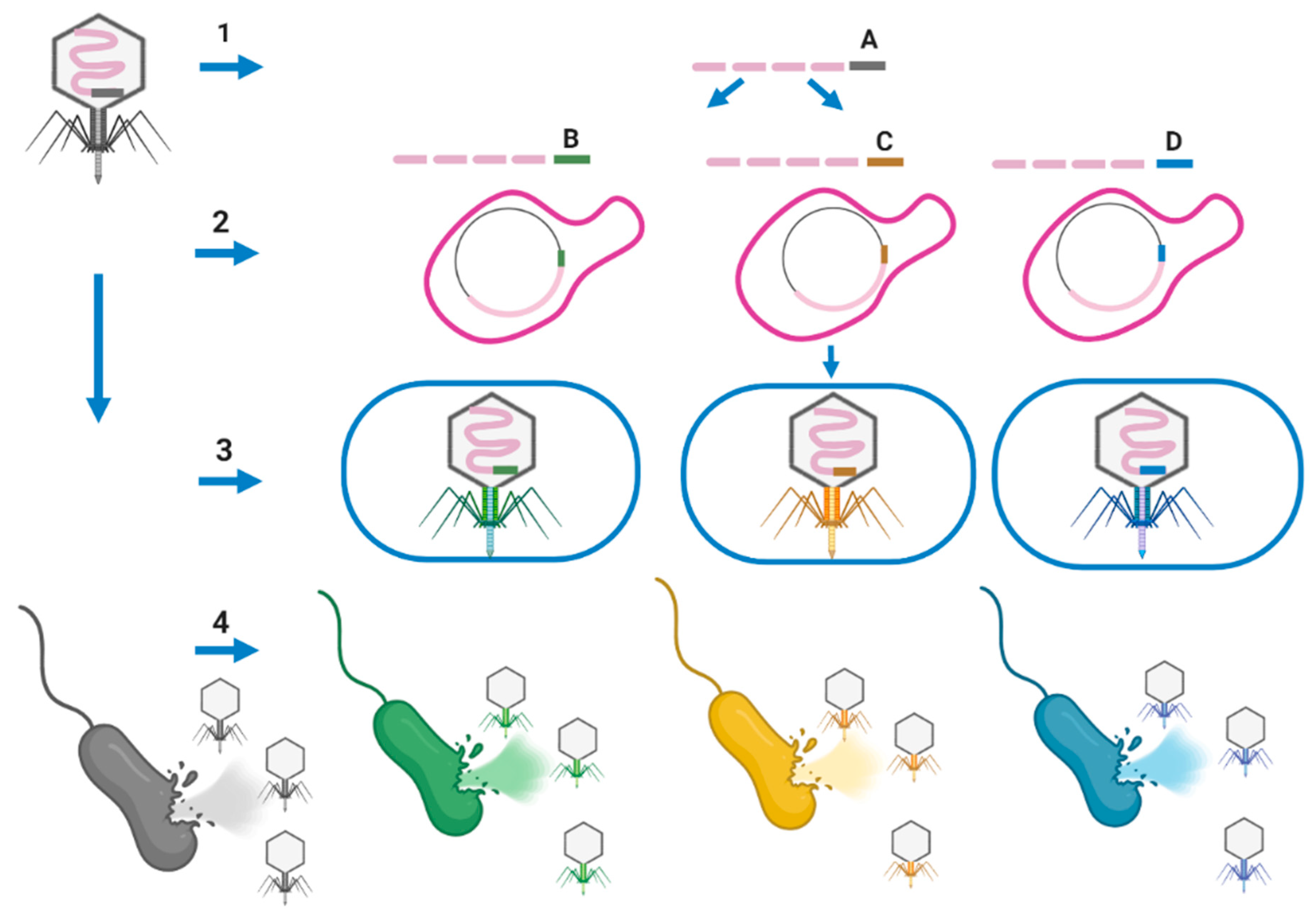 Microorganisms 09 00596 g004