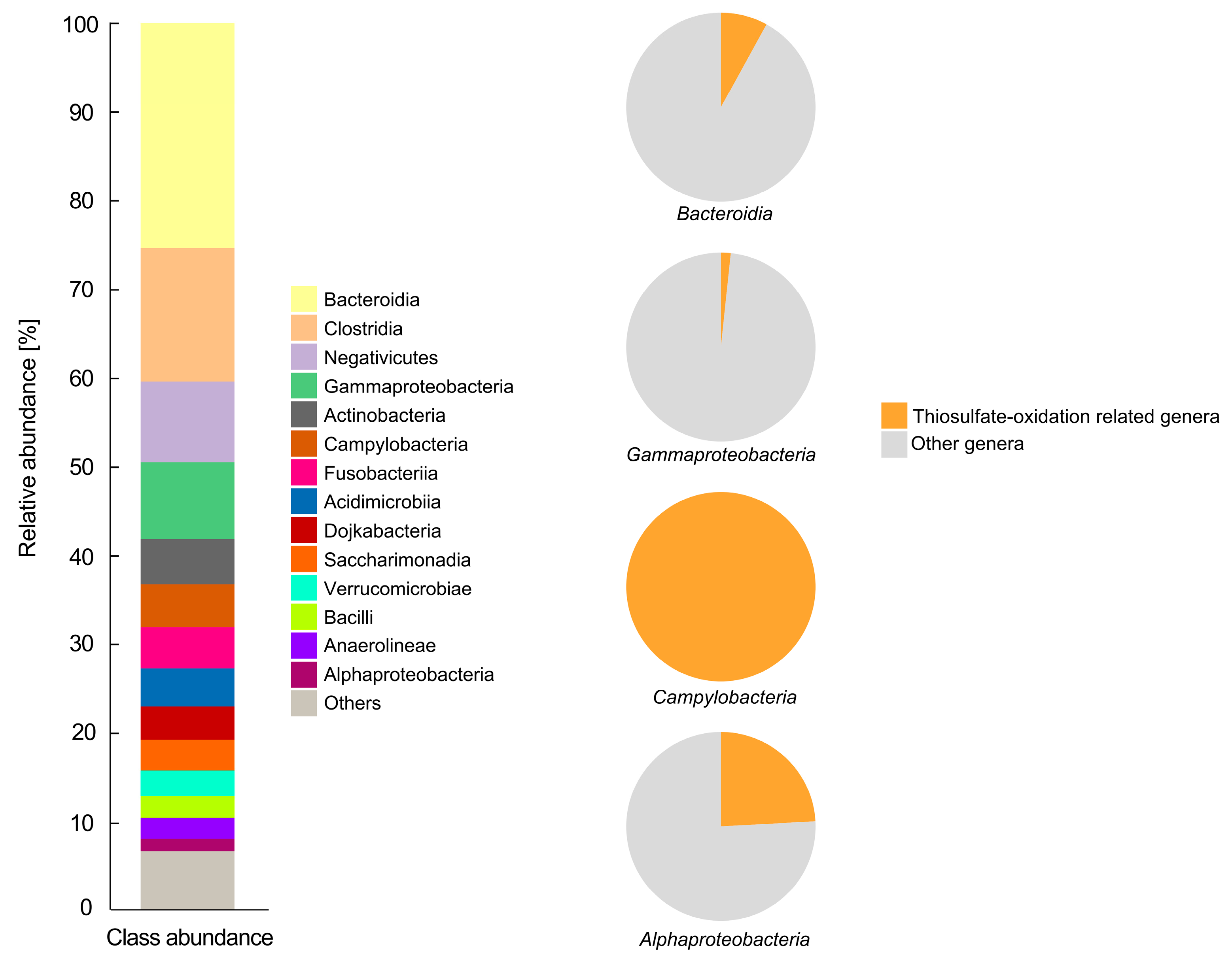 Microorganisms 09 00611 g002 Microorganisms 09 00611 g002