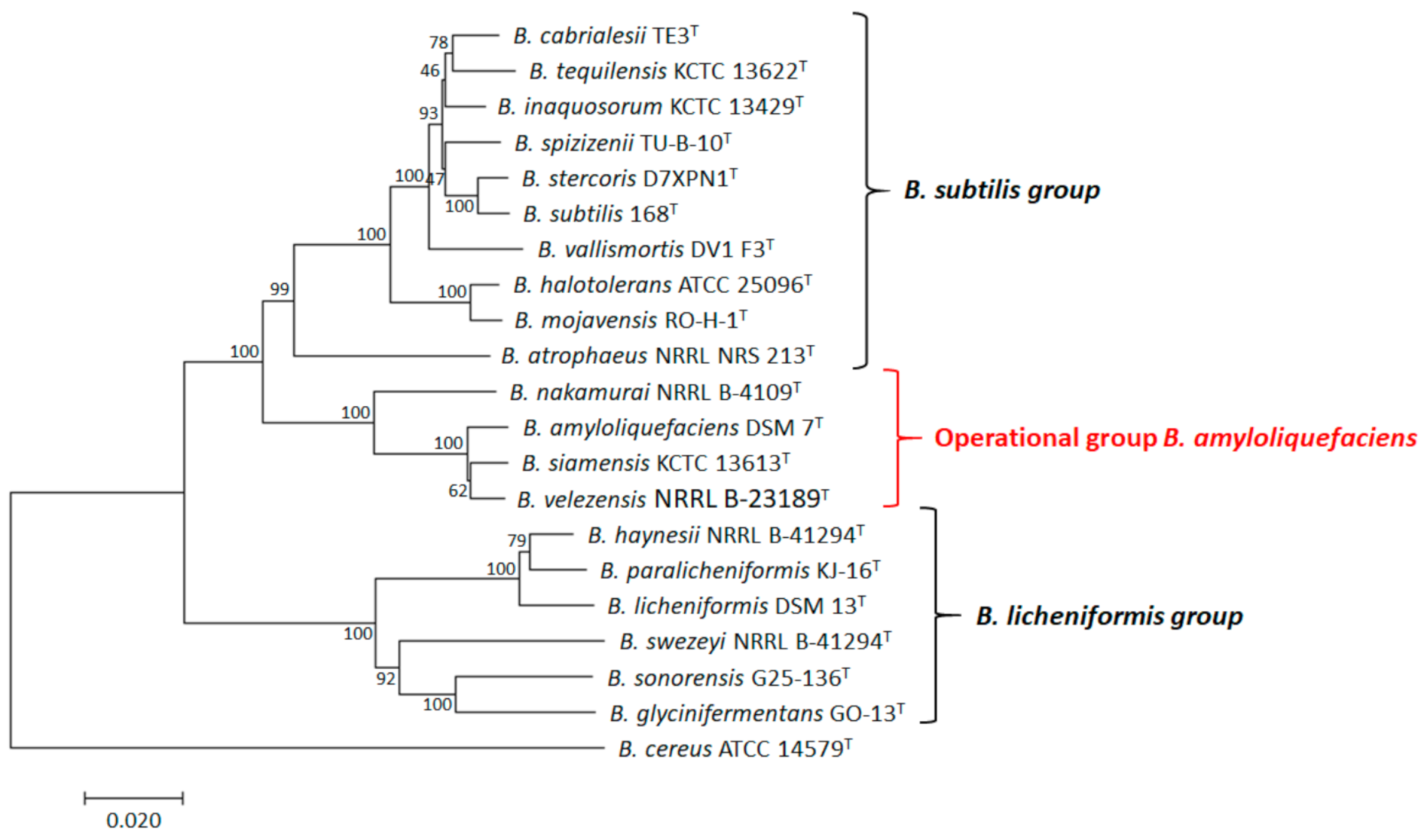 Microorganisms 09 00614 g001 Microorganisms 09 00614 g001