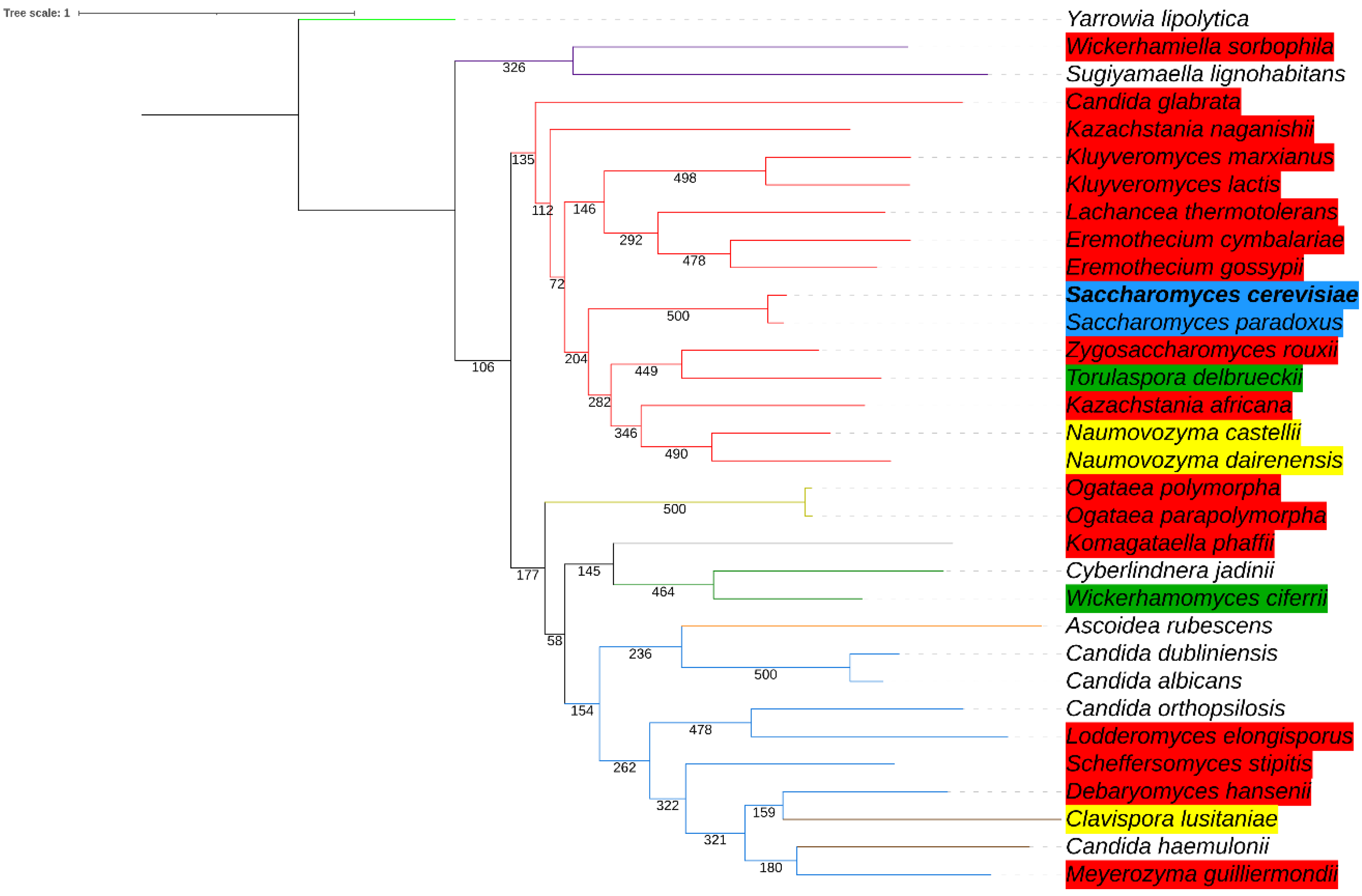 Microorganisms 09 00620 g004