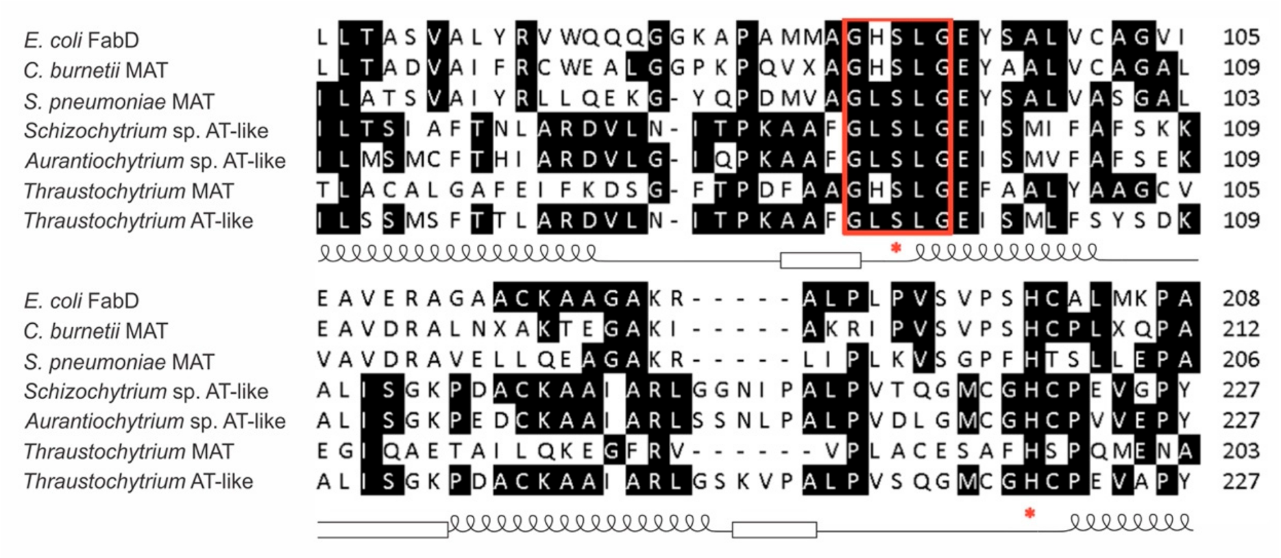 Microorganisms 09 00626 g001 Microorganisms 09 00626 g001