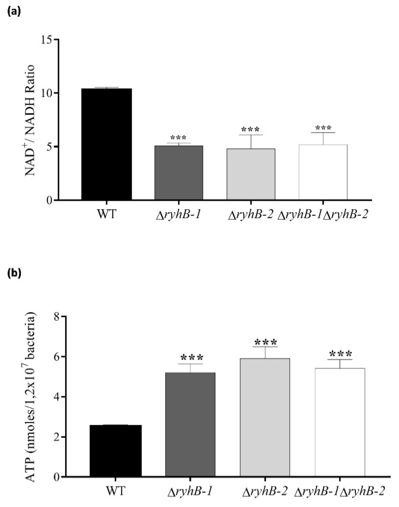 Microorganisms 09 00635 g002