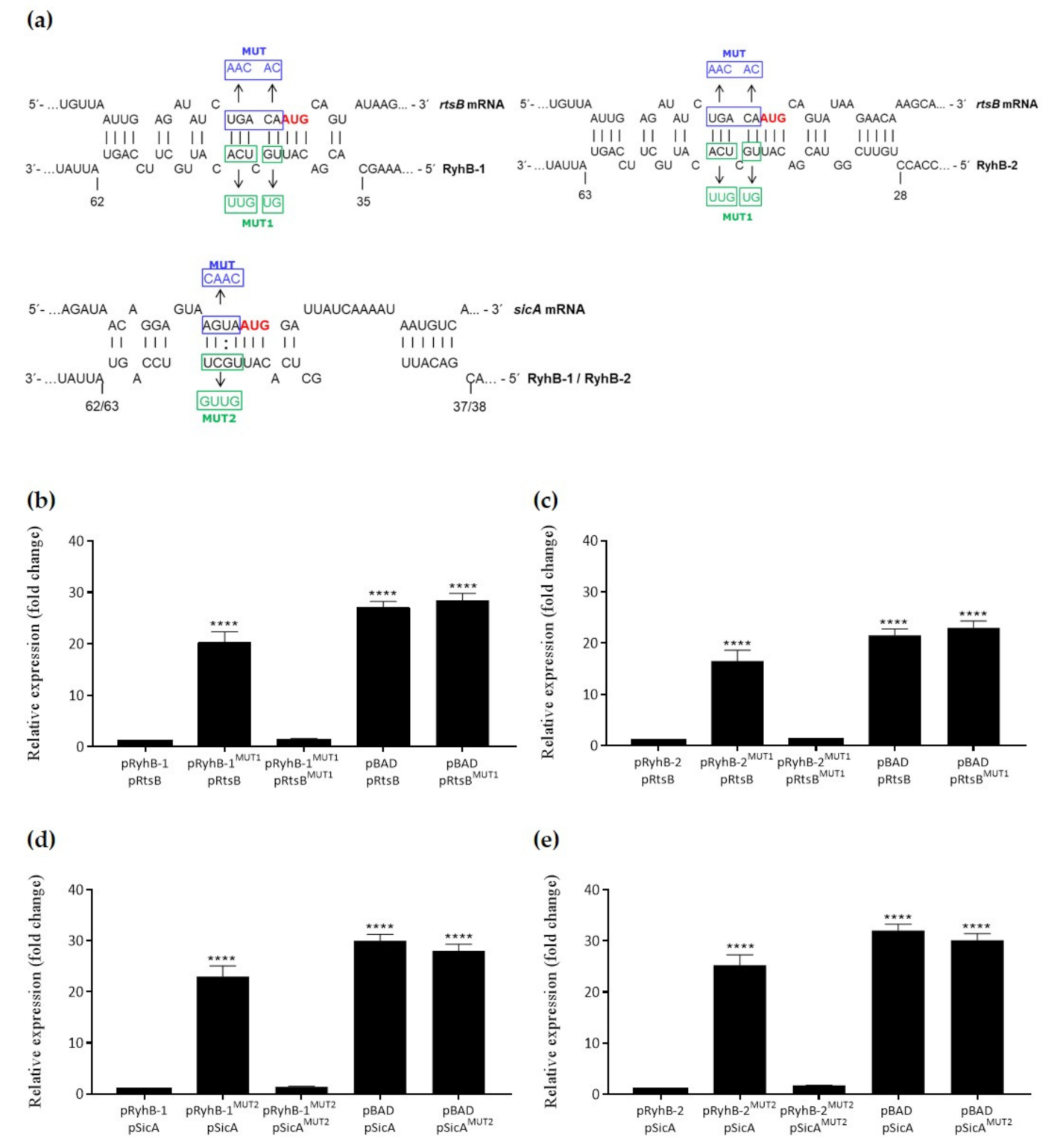 Microorganisms 09 00635 g004