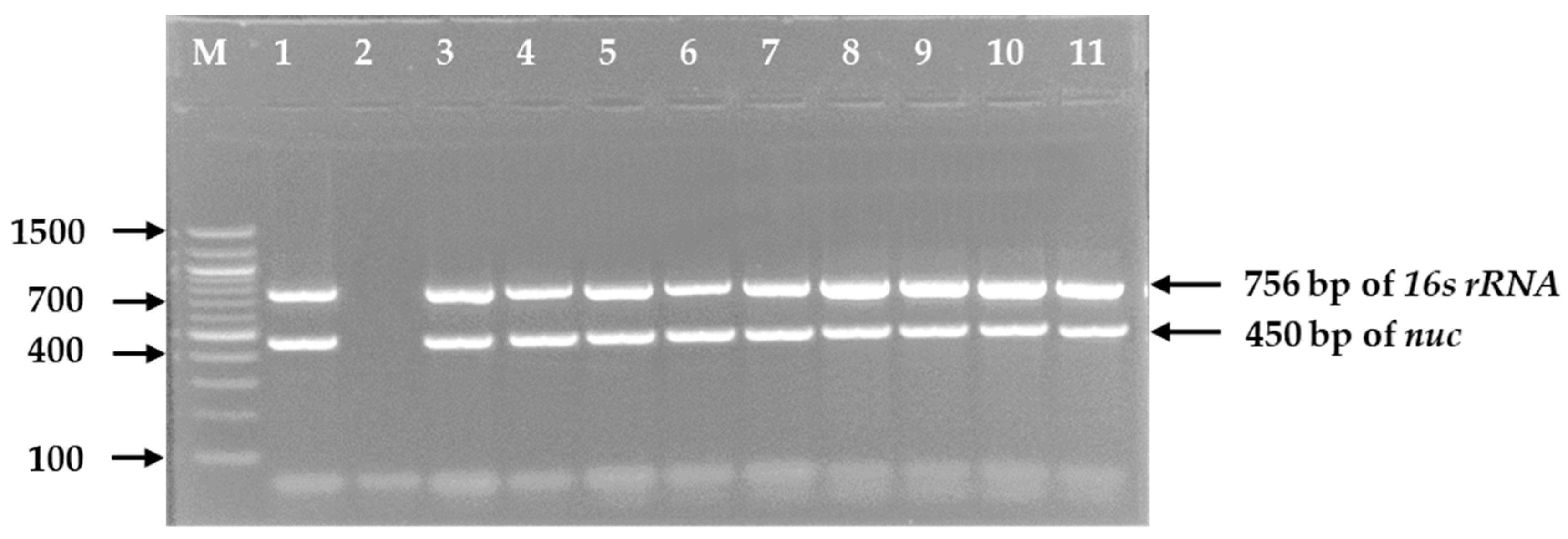 Microorganisms 09 00636 g001 Microorganisms 09 00636 g001