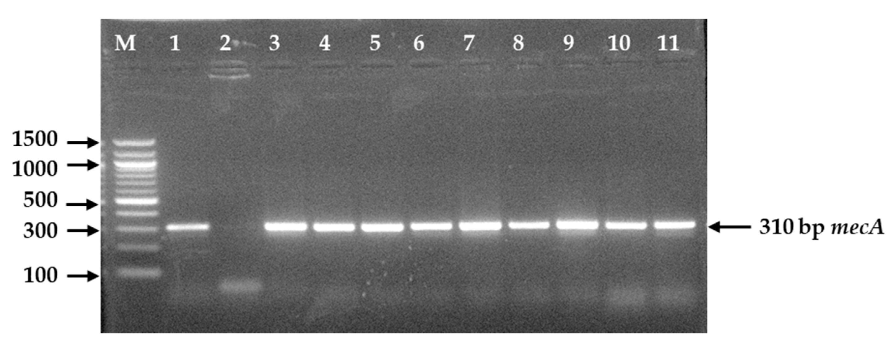 Microorganisms 09 00636 g005 Microorganisms 09 00636 g005