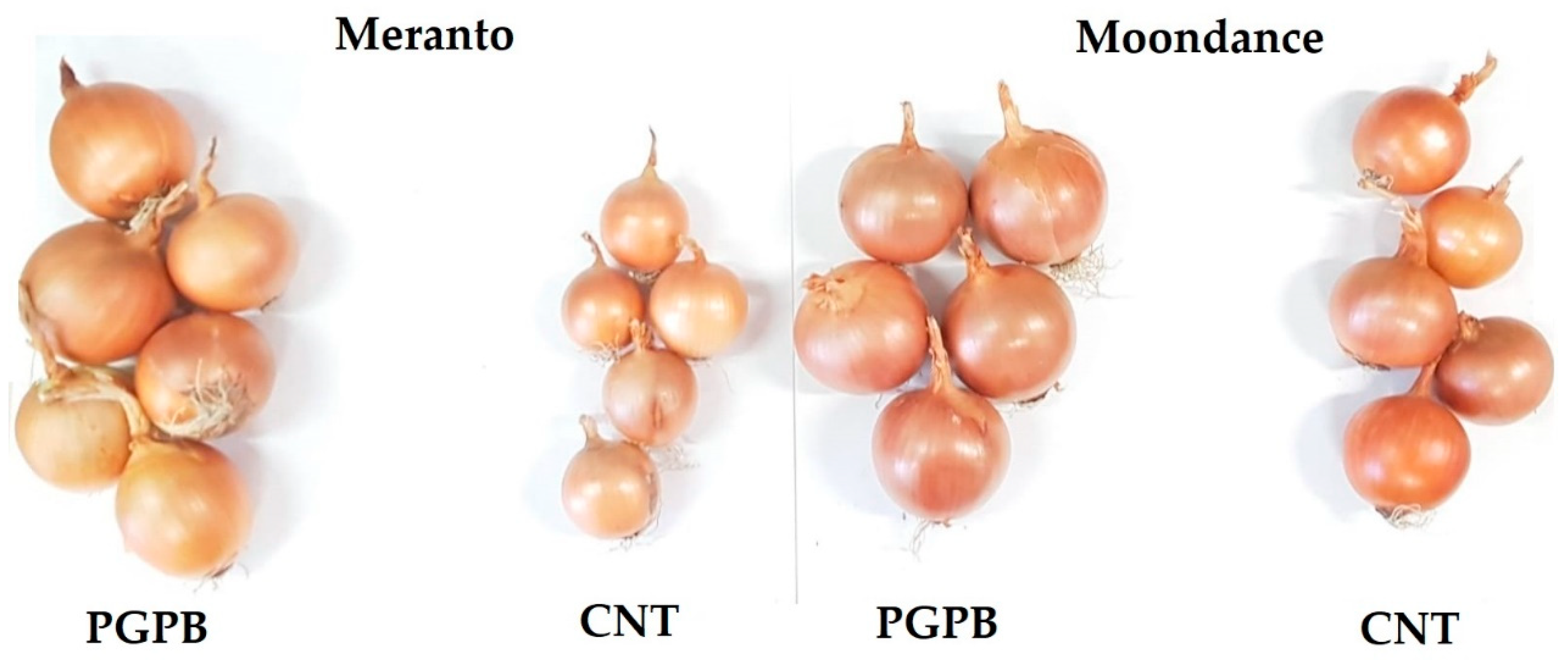 Microorganisms 09 00639 g005