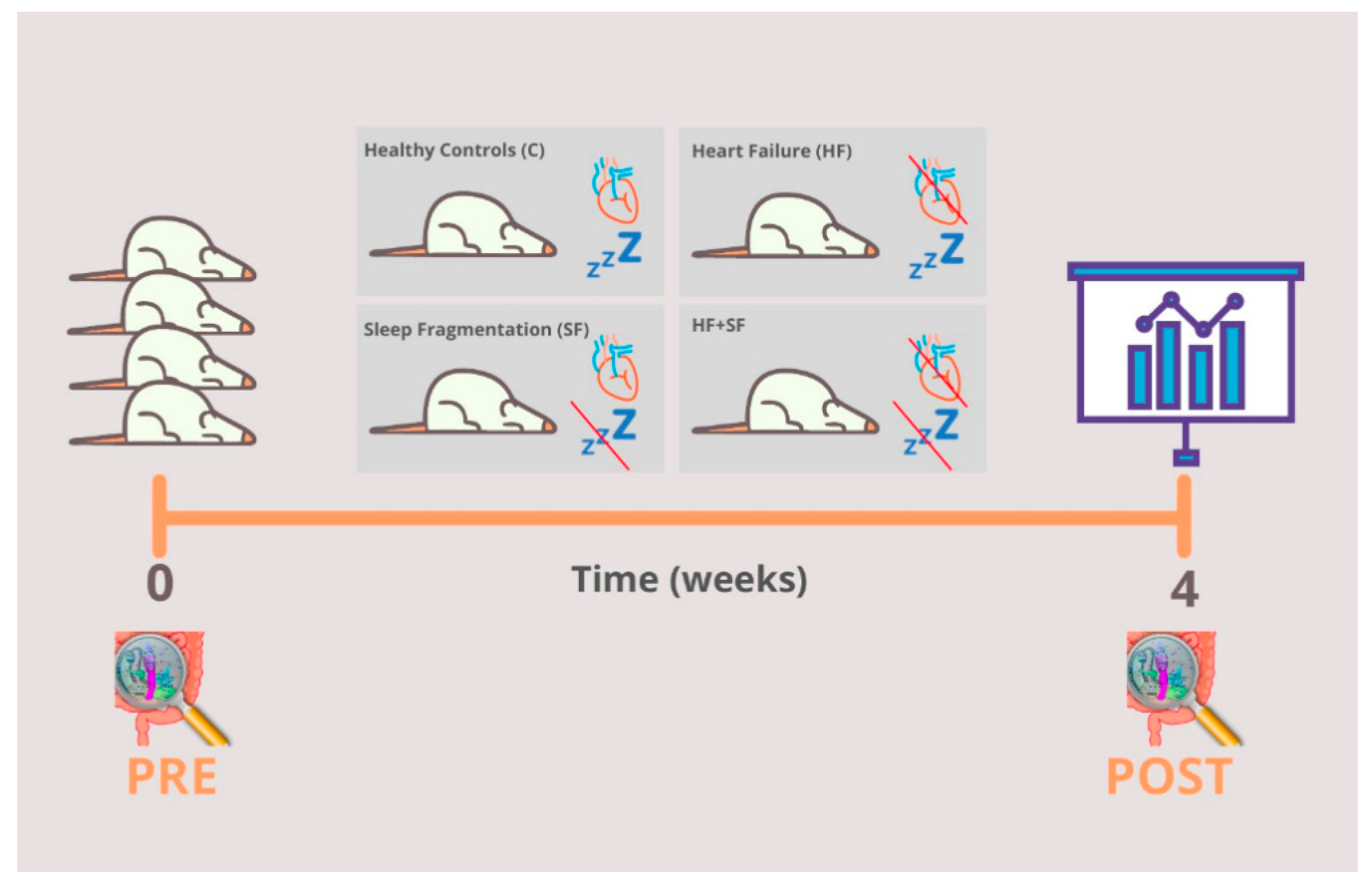 Microorganisms 09 00641 g001