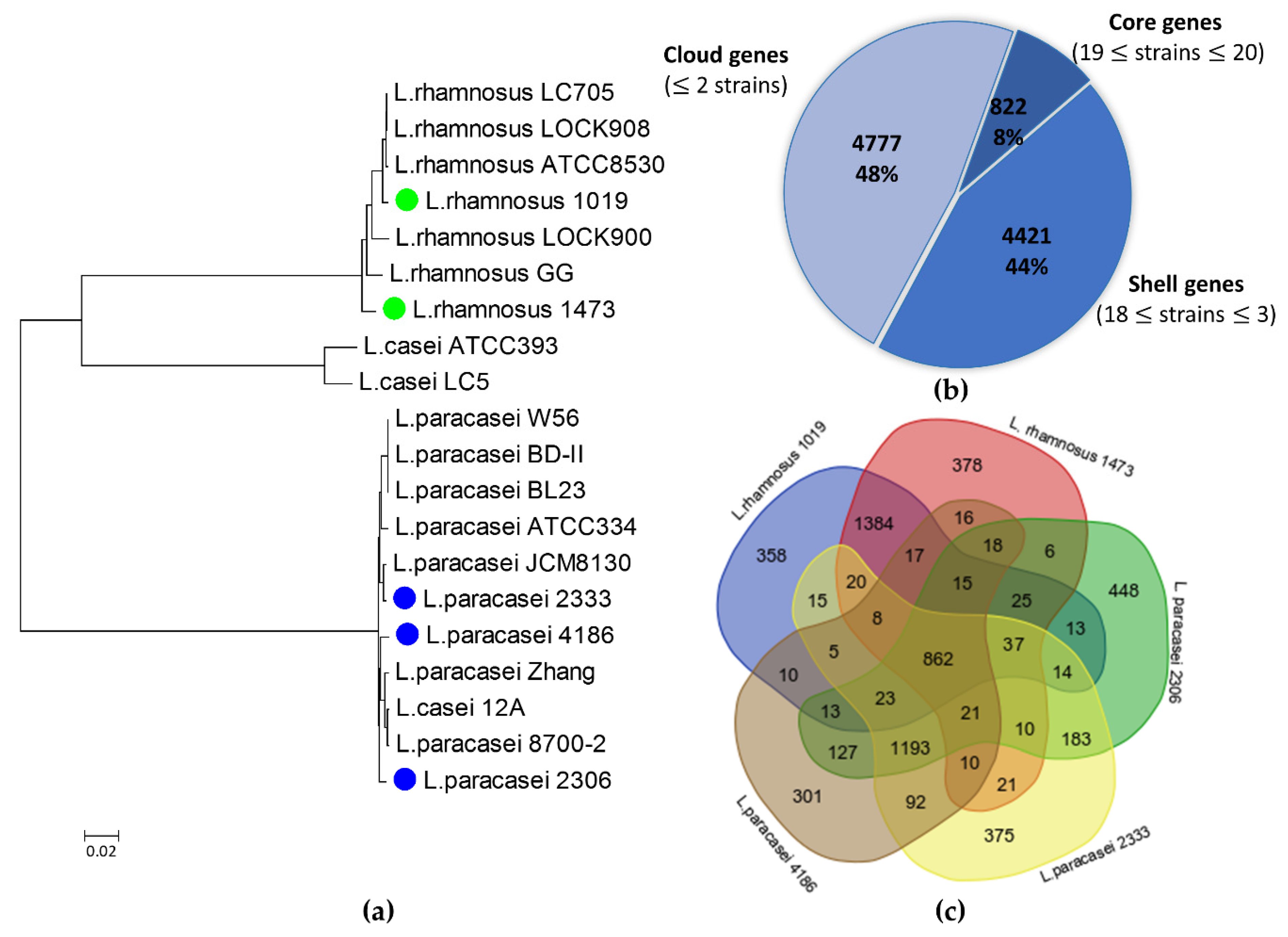 Microorganisms 09 00648 g002