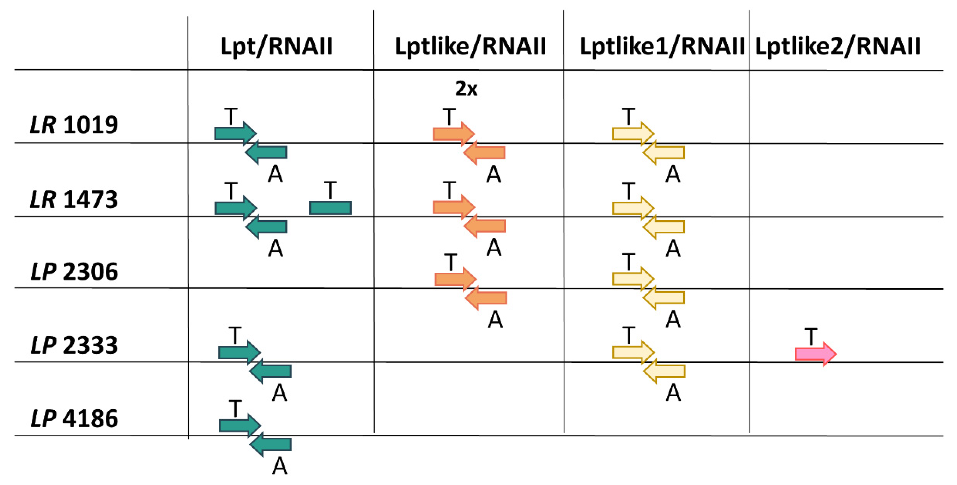 Microorganisms 09 00648 g004
