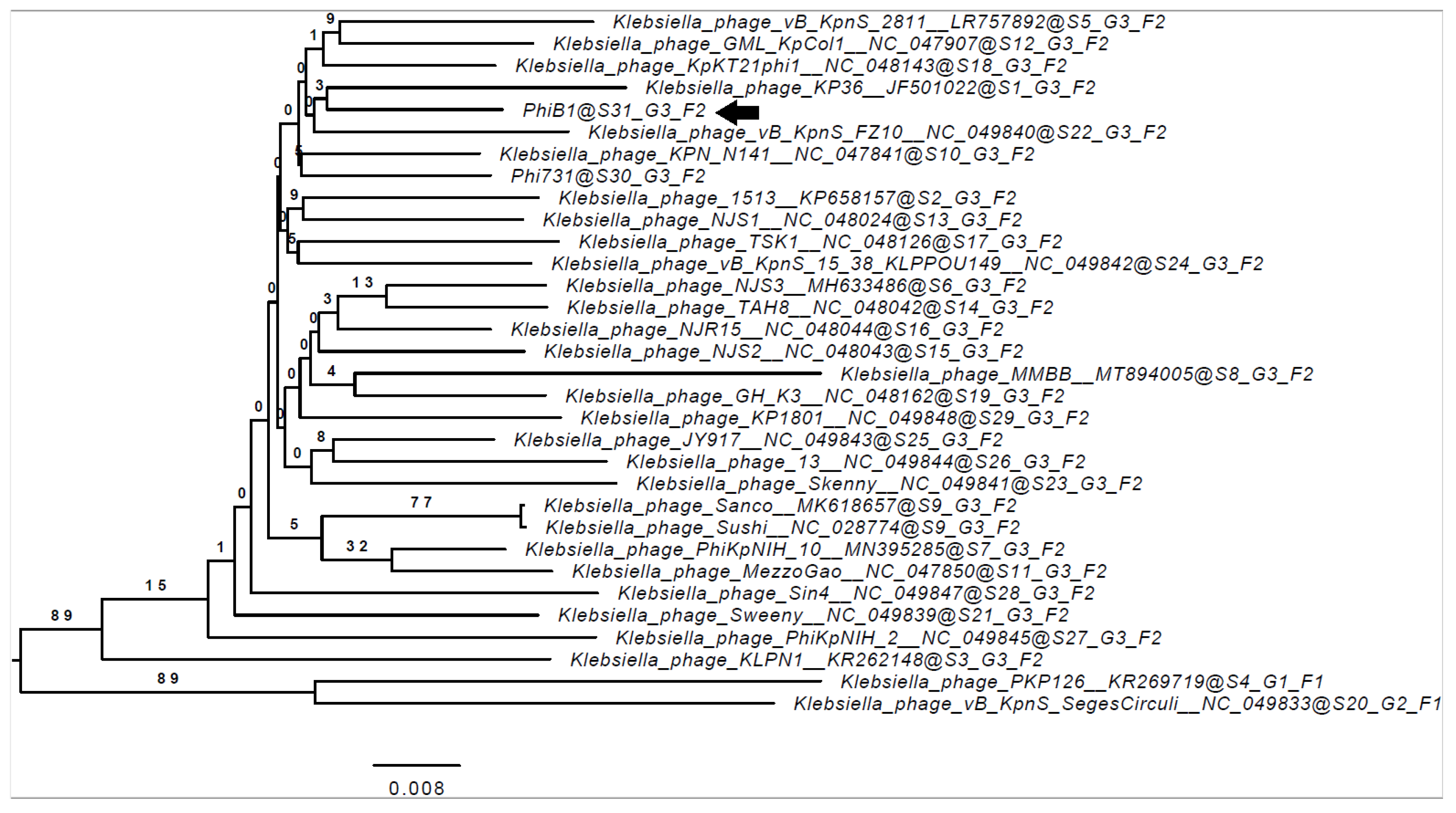 Microorganisms 09 00650 g004