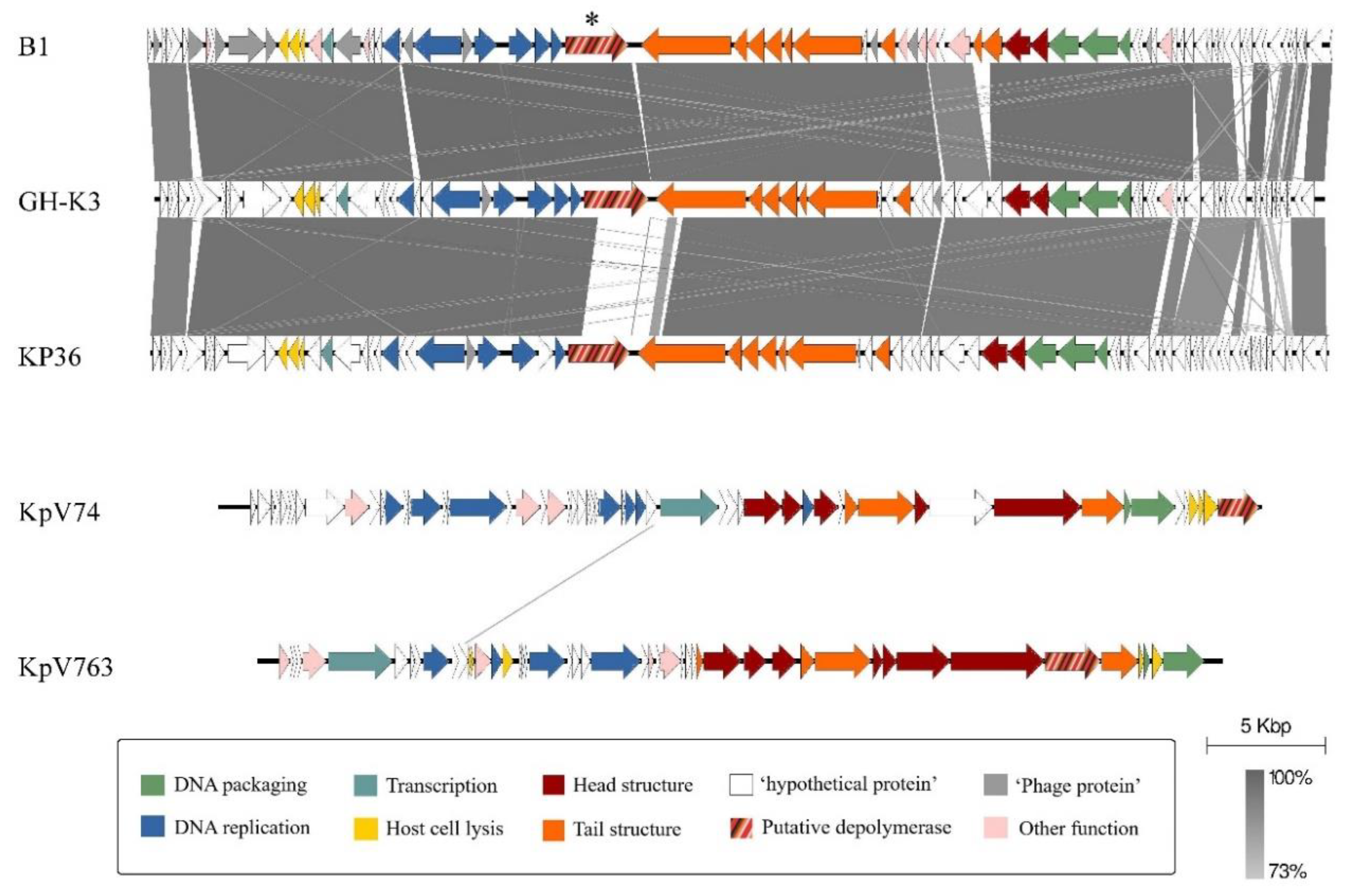 Microorganisms 09 00650 g005