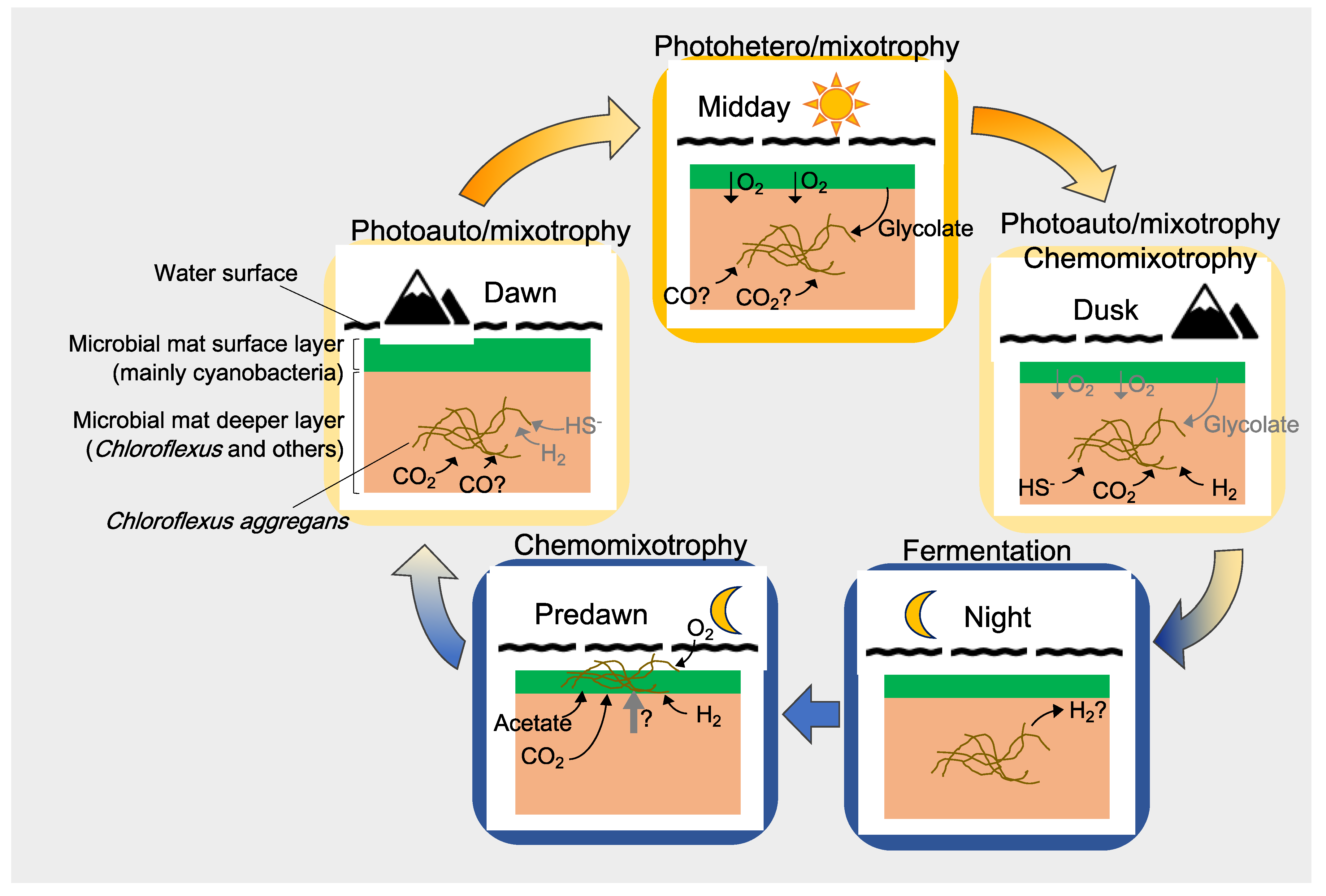 Microorganisms 09 00652 g009