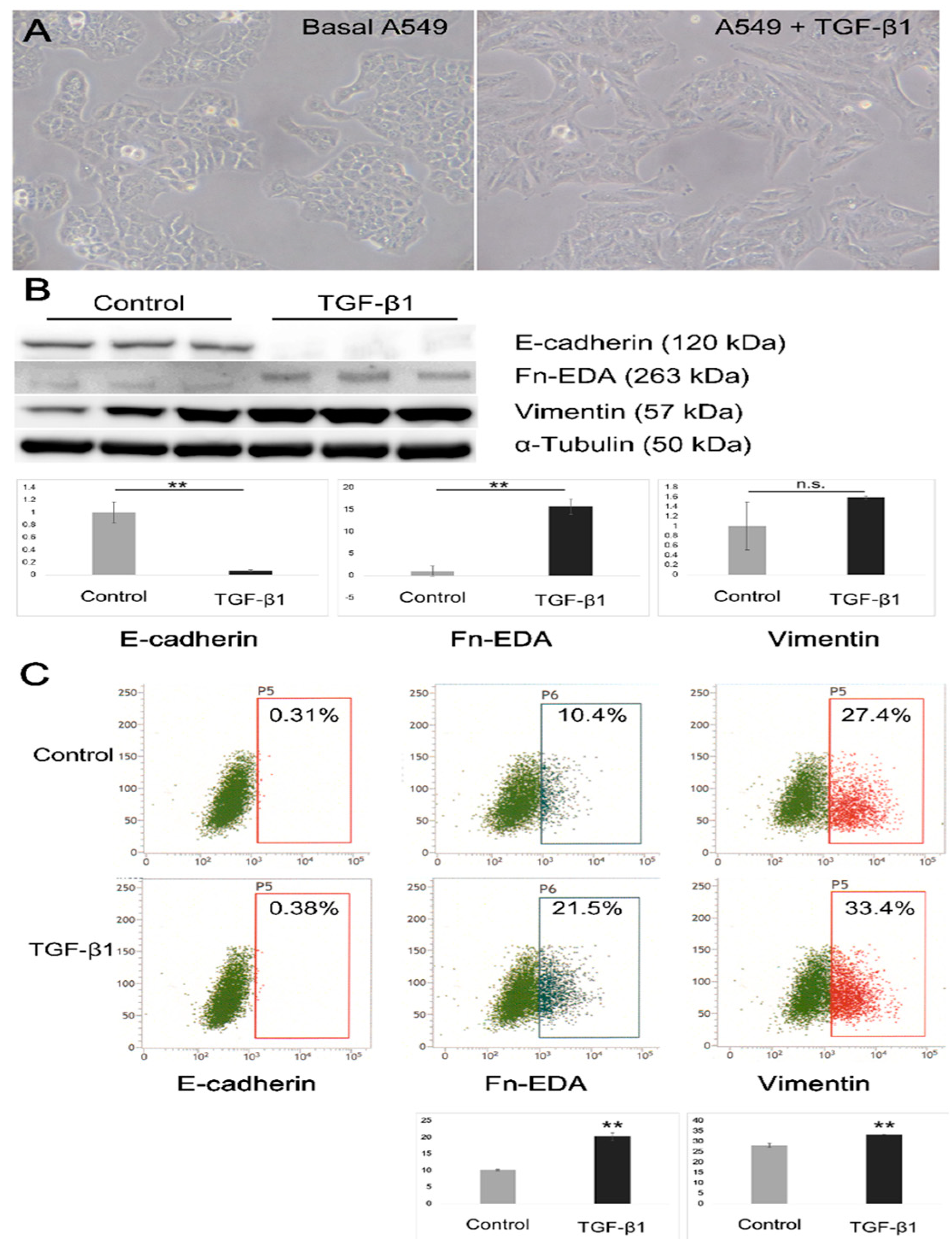 Microorganisms 09 00662 g001