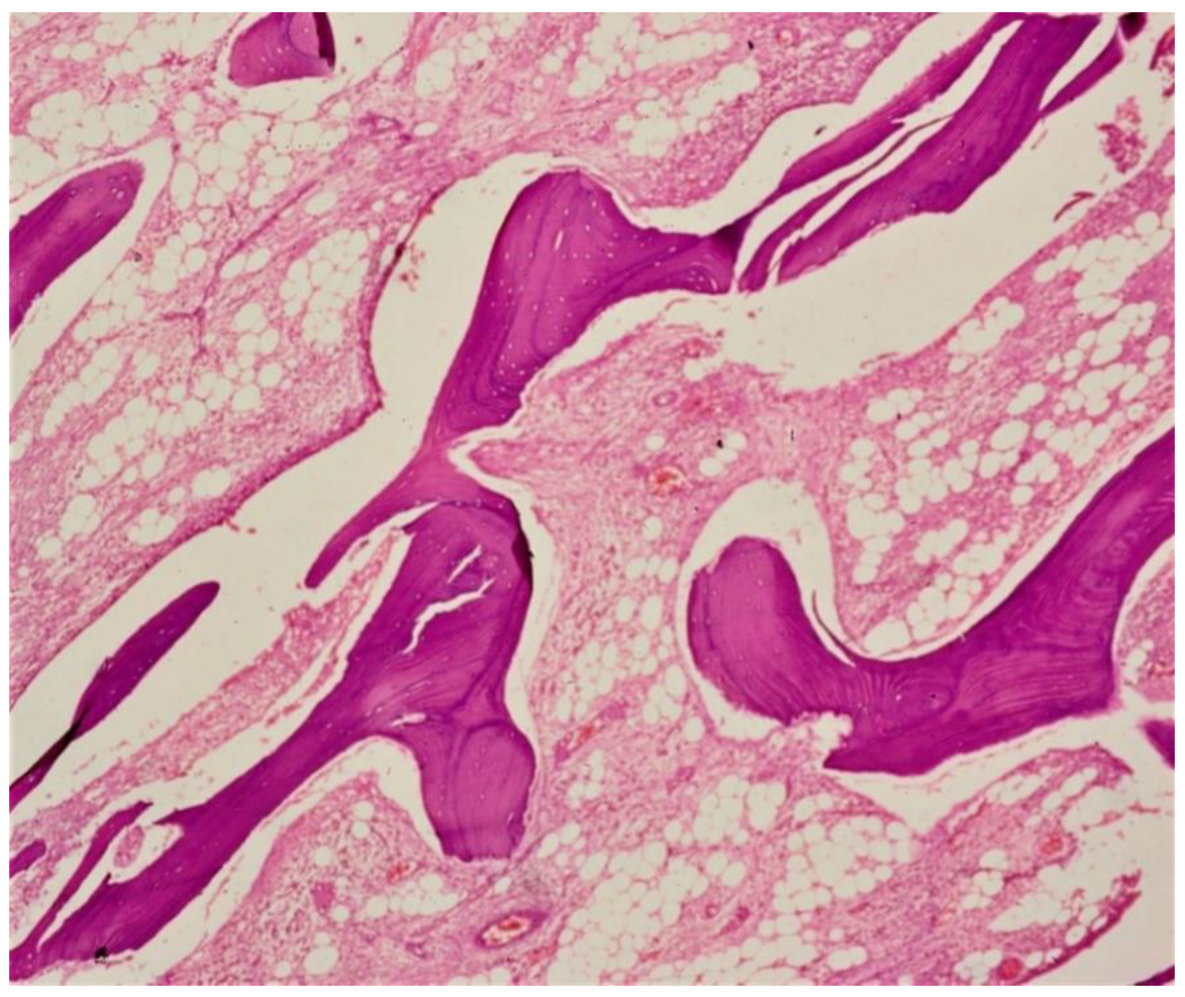 Microorganisms 09 00663 g001