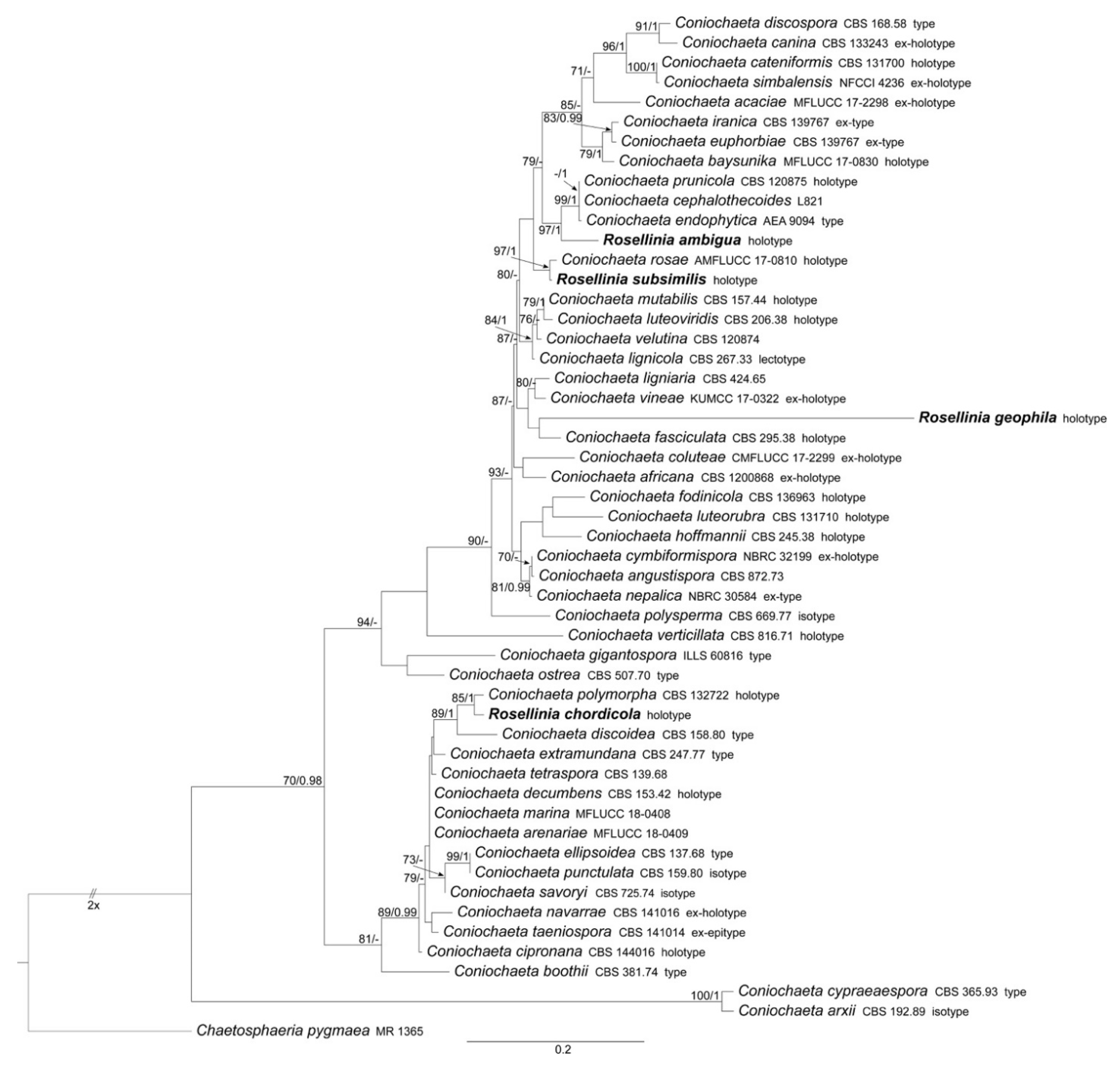 Microorganisms 09 00666 g001 Microorganisms 09 00666 g001