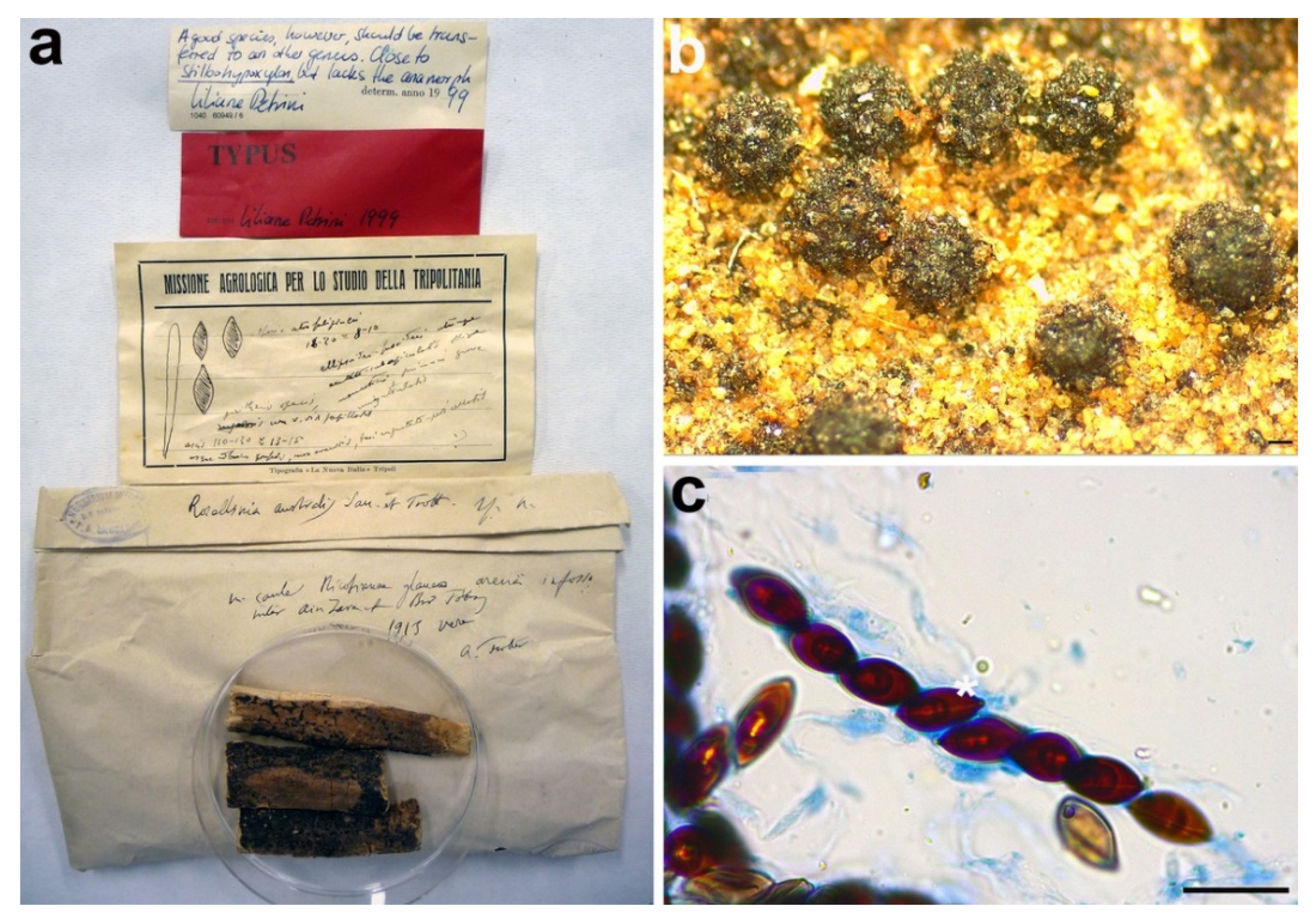 Microorganisms 09 00666 g006 Microorganisms 09 00666 g006
