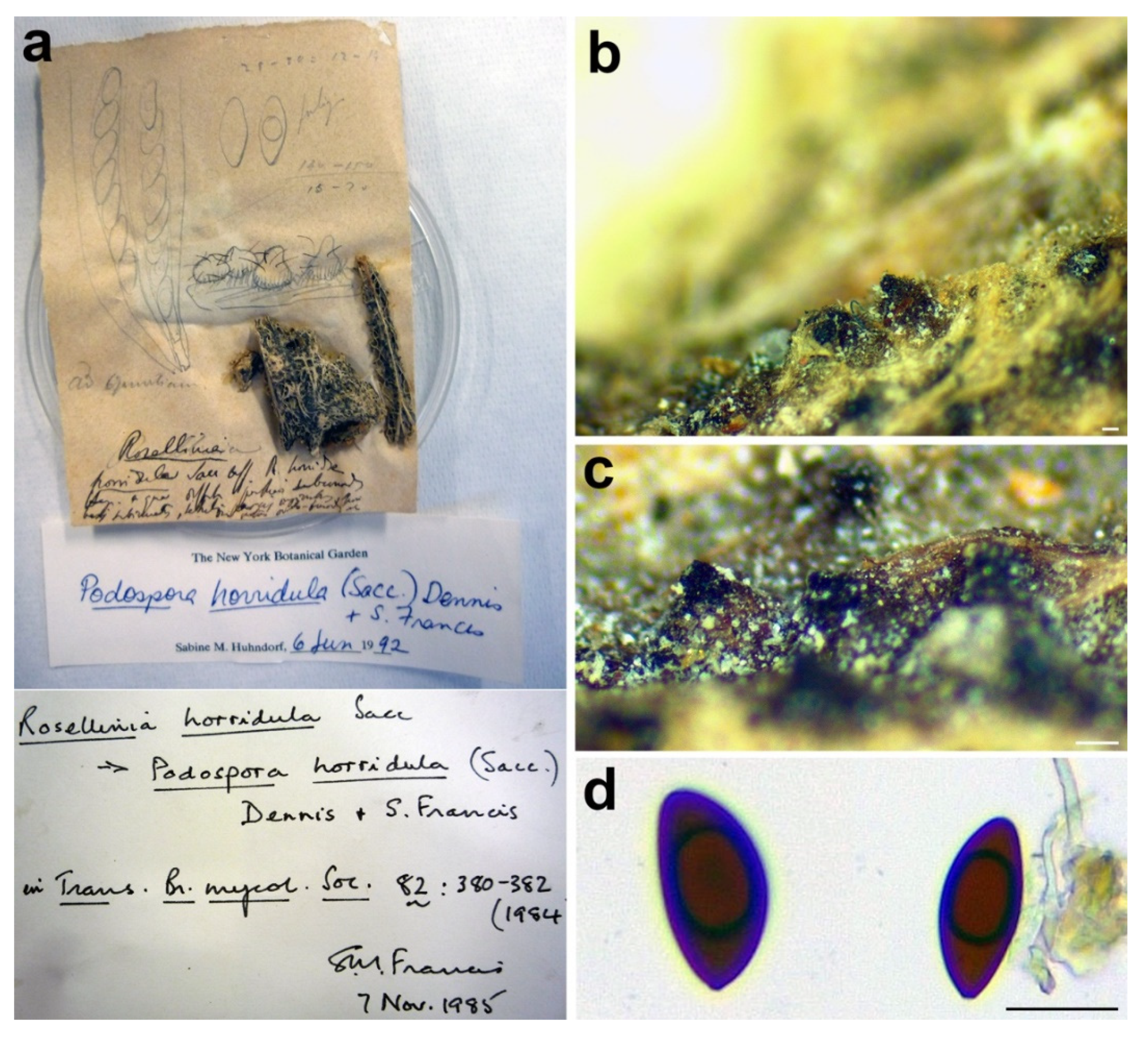 Microorganisms 09 00666 g009 Microorganisms 09 00666 g009
