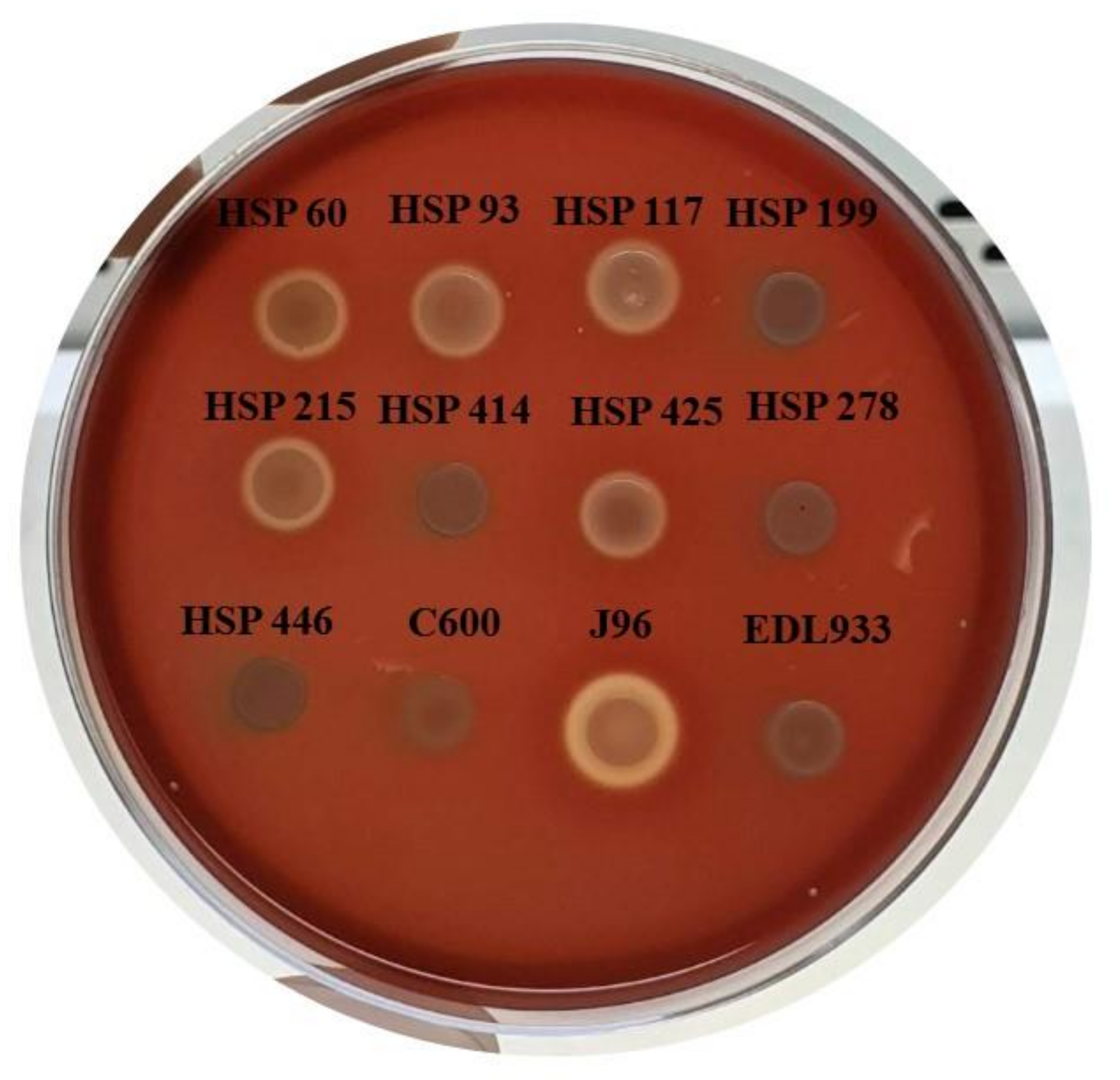 Microorganisms 09 00693 g001