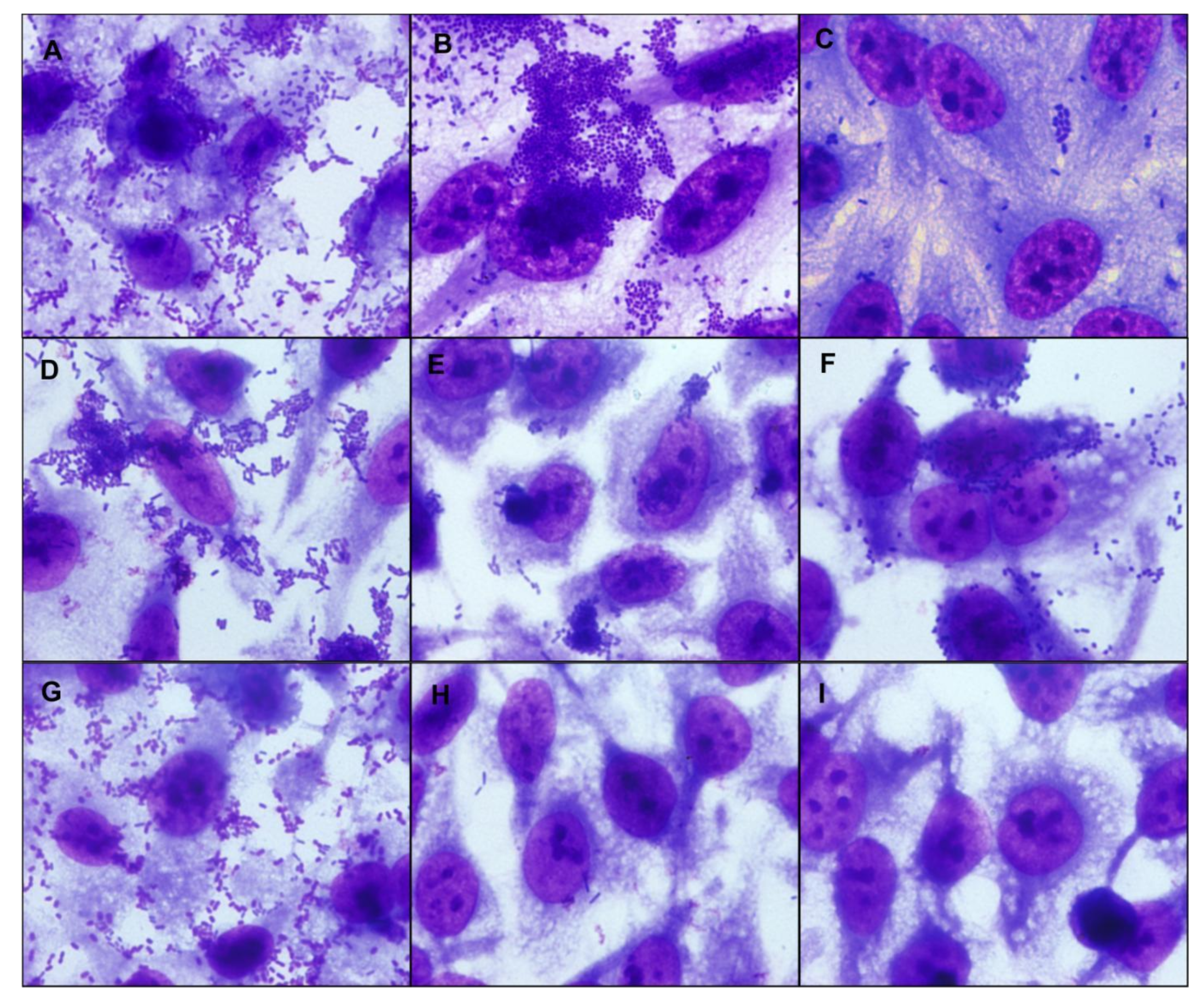 Microorganisms 09 00693 g002