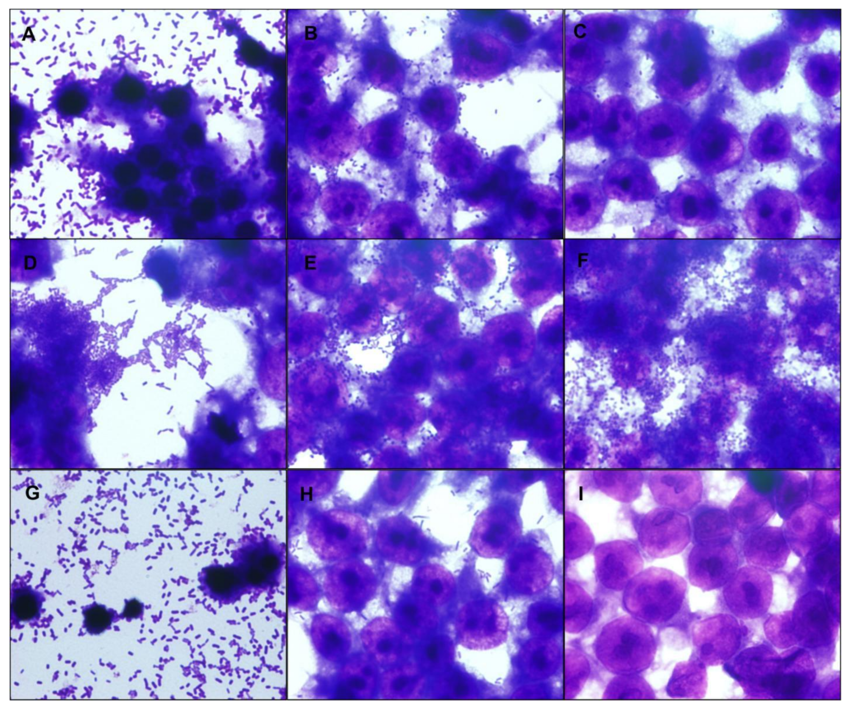 Microorganisms 09 00693 g003