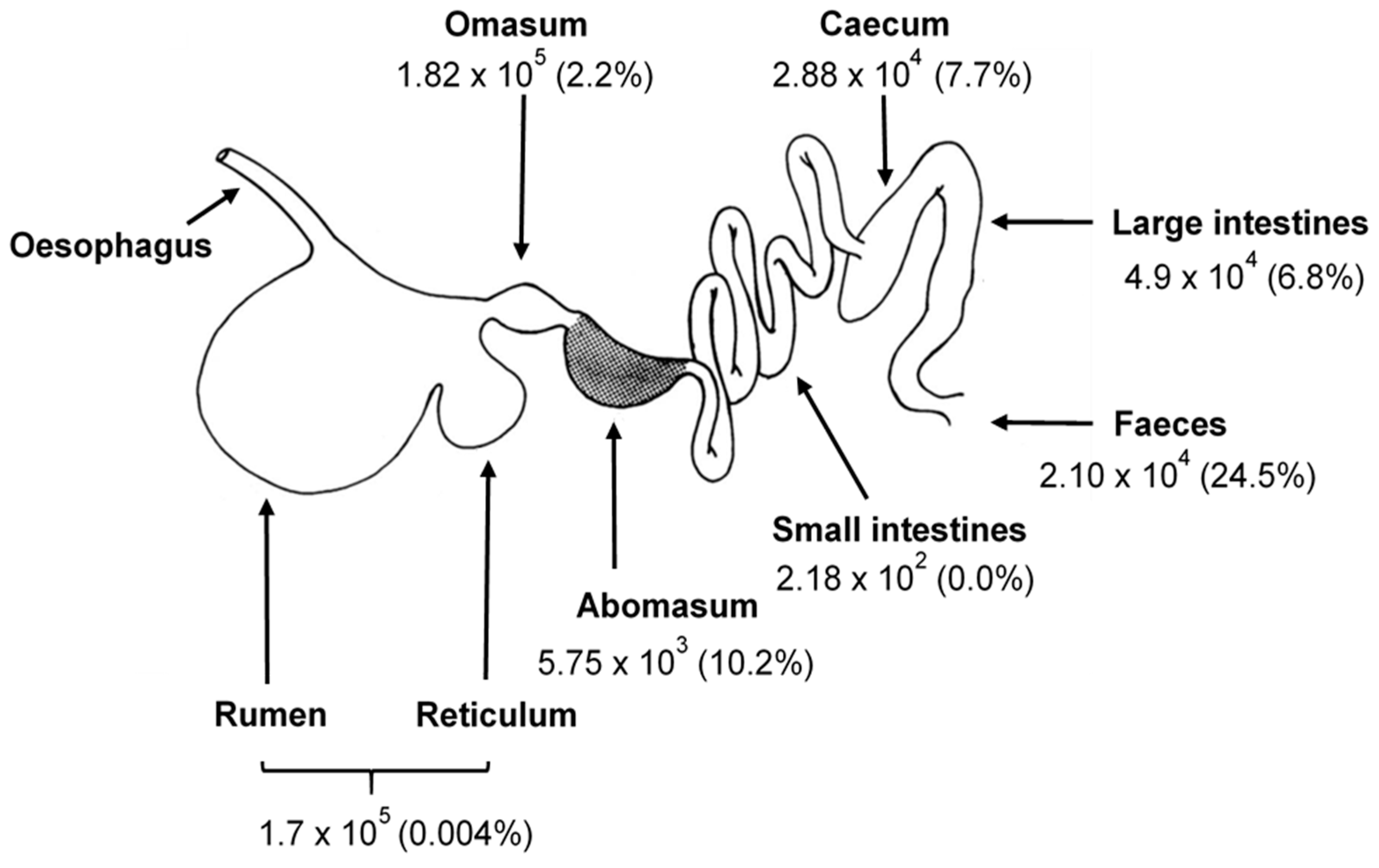 Microorganisms 09 00694 g001
