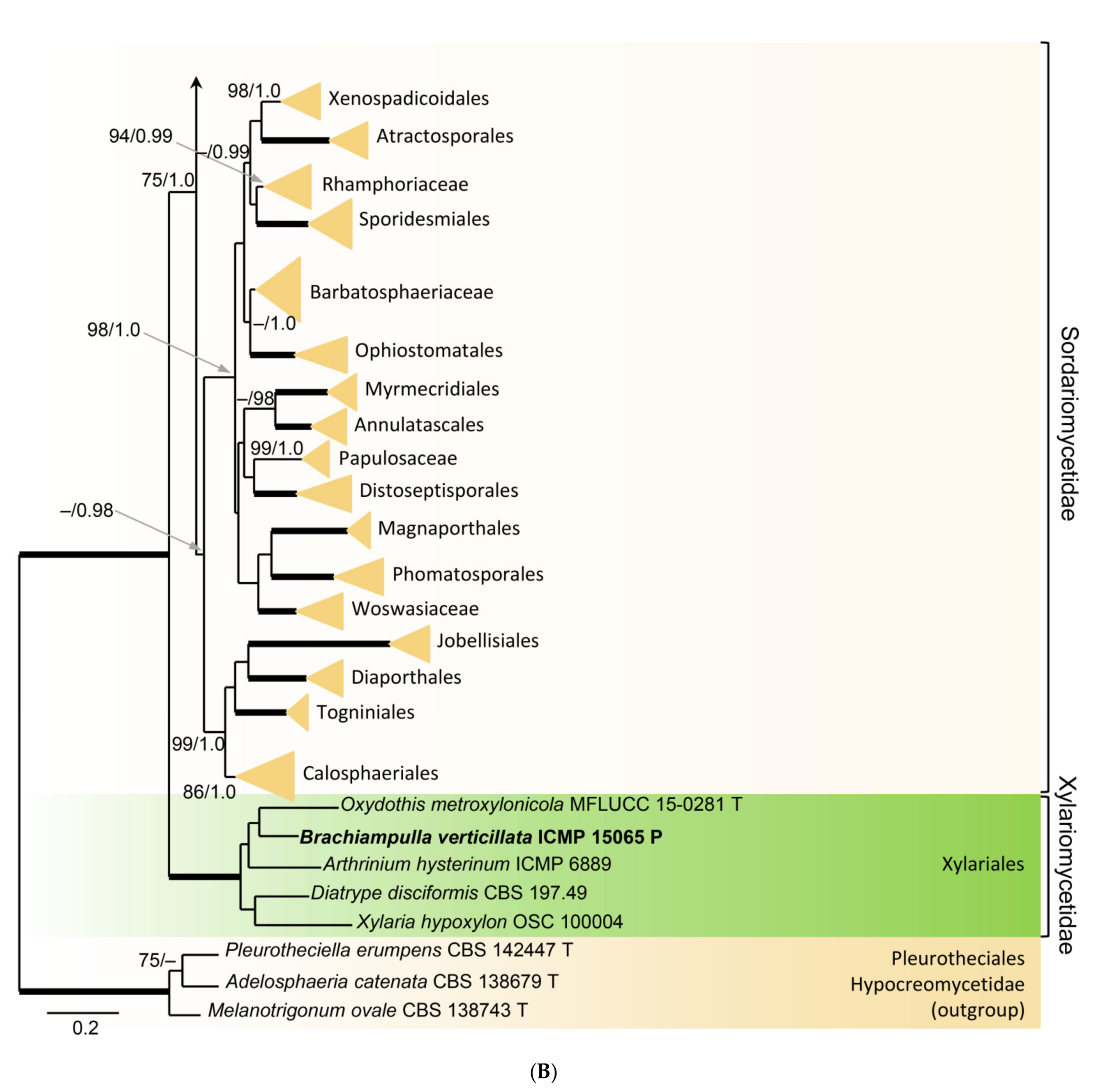 Microorganisms 09 00706 g001b Microorganisms 09 00706 g001b