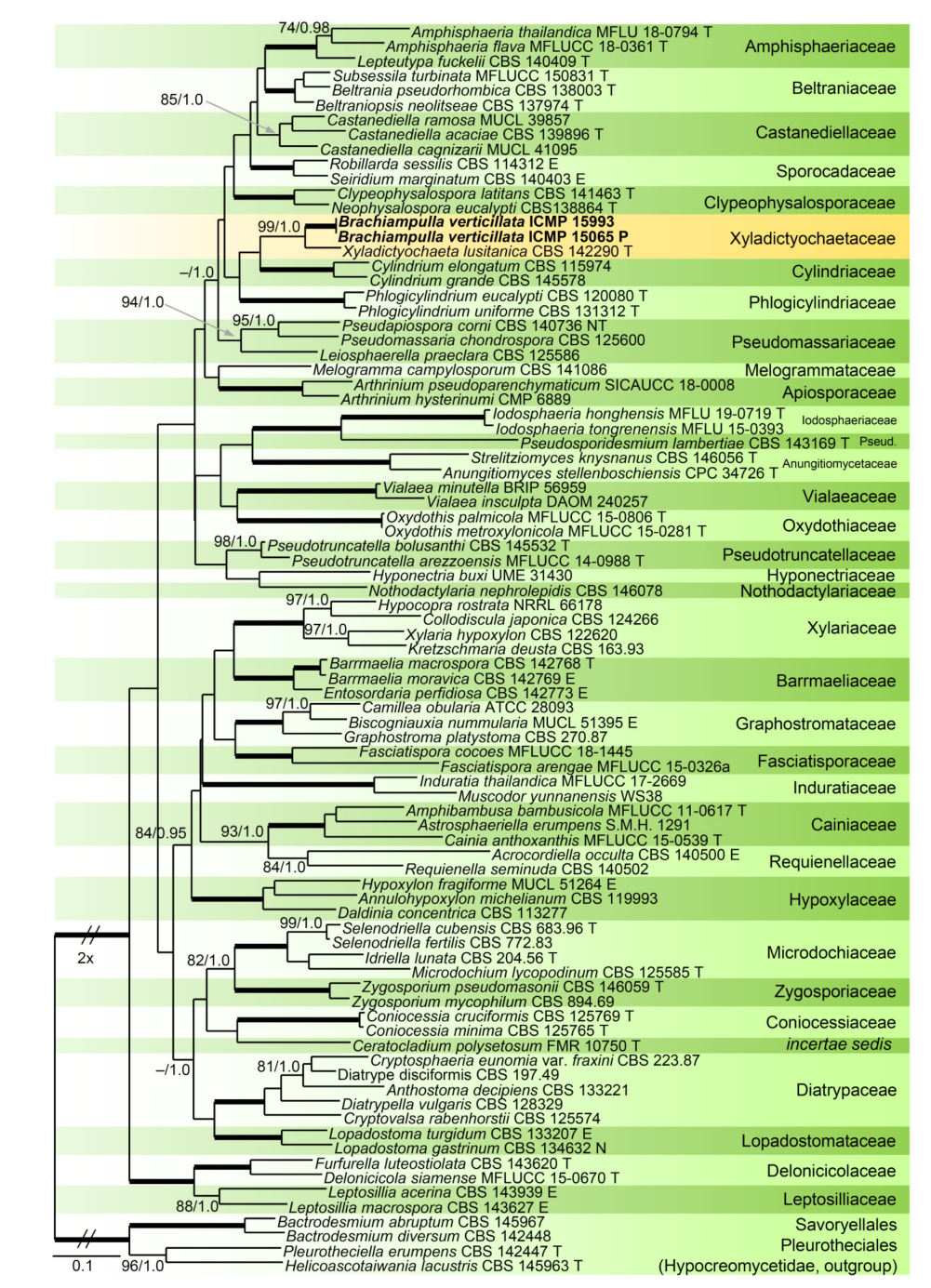 Microorganisms 09 00706 g004 Microorganisms 09 00706 g004