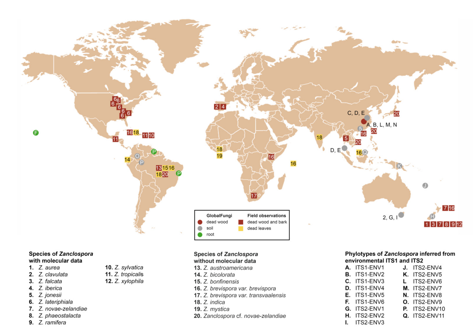 Microorganisms 09 00706 g007 Microorganisms 09 00706 g007