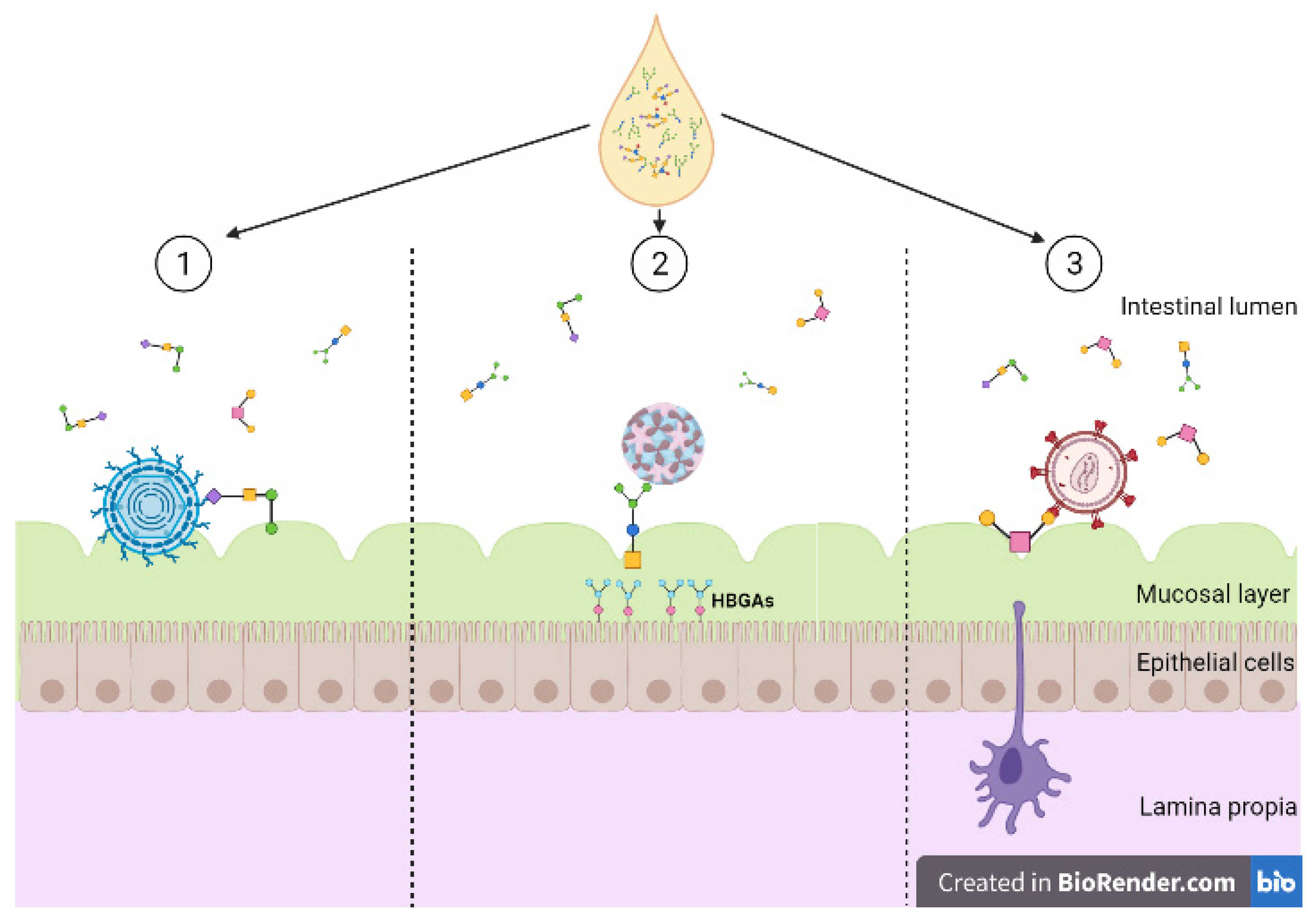 Microorganisms 09 00715 g003