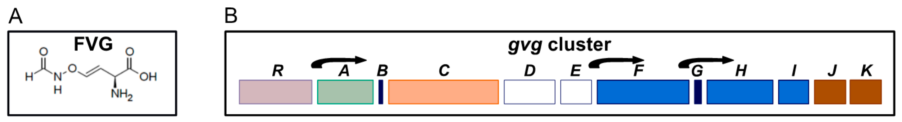 Microorganisms 09 00717 g001